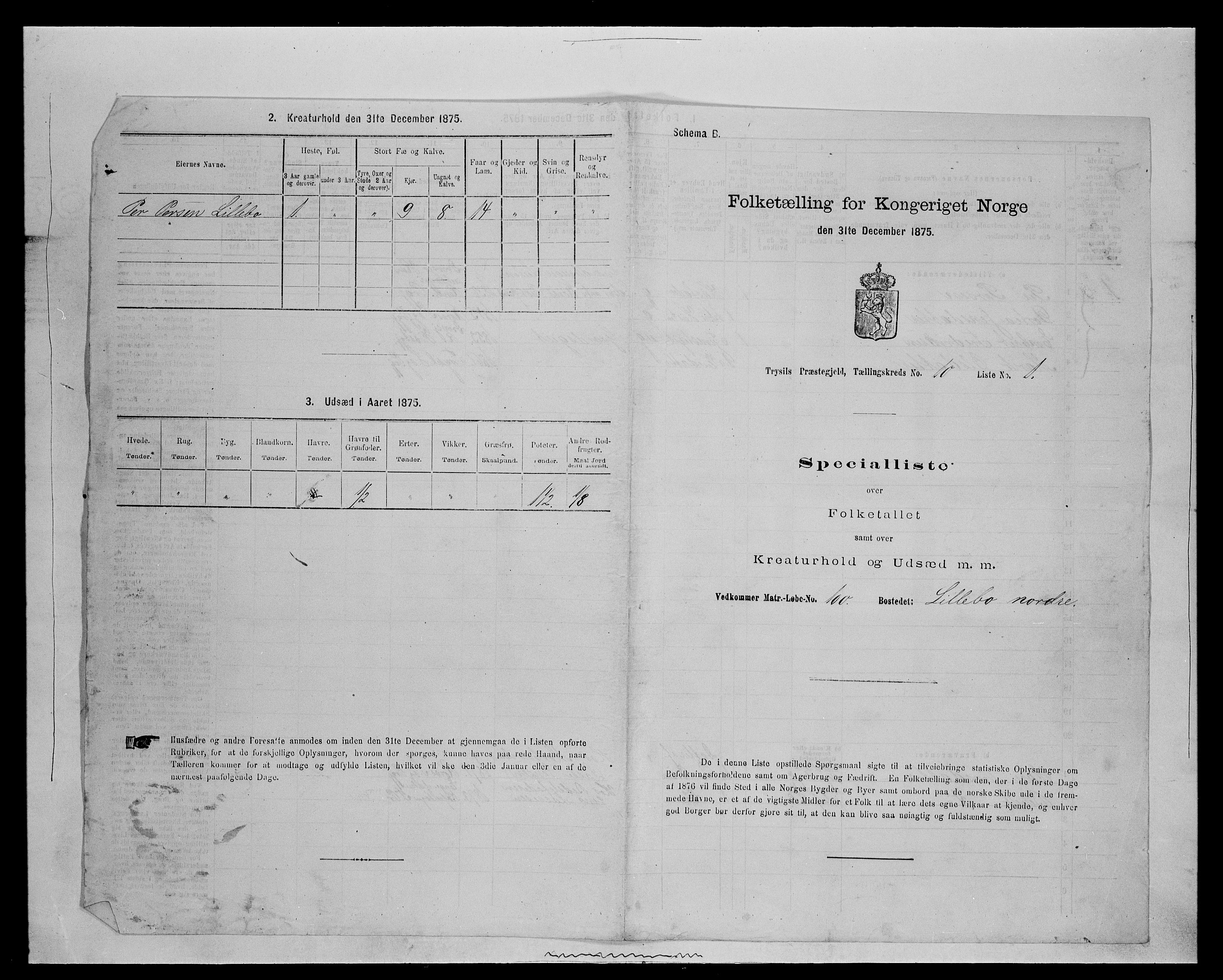 SAH, 1875 census for 0428P Trysil, 1875, p. 1140