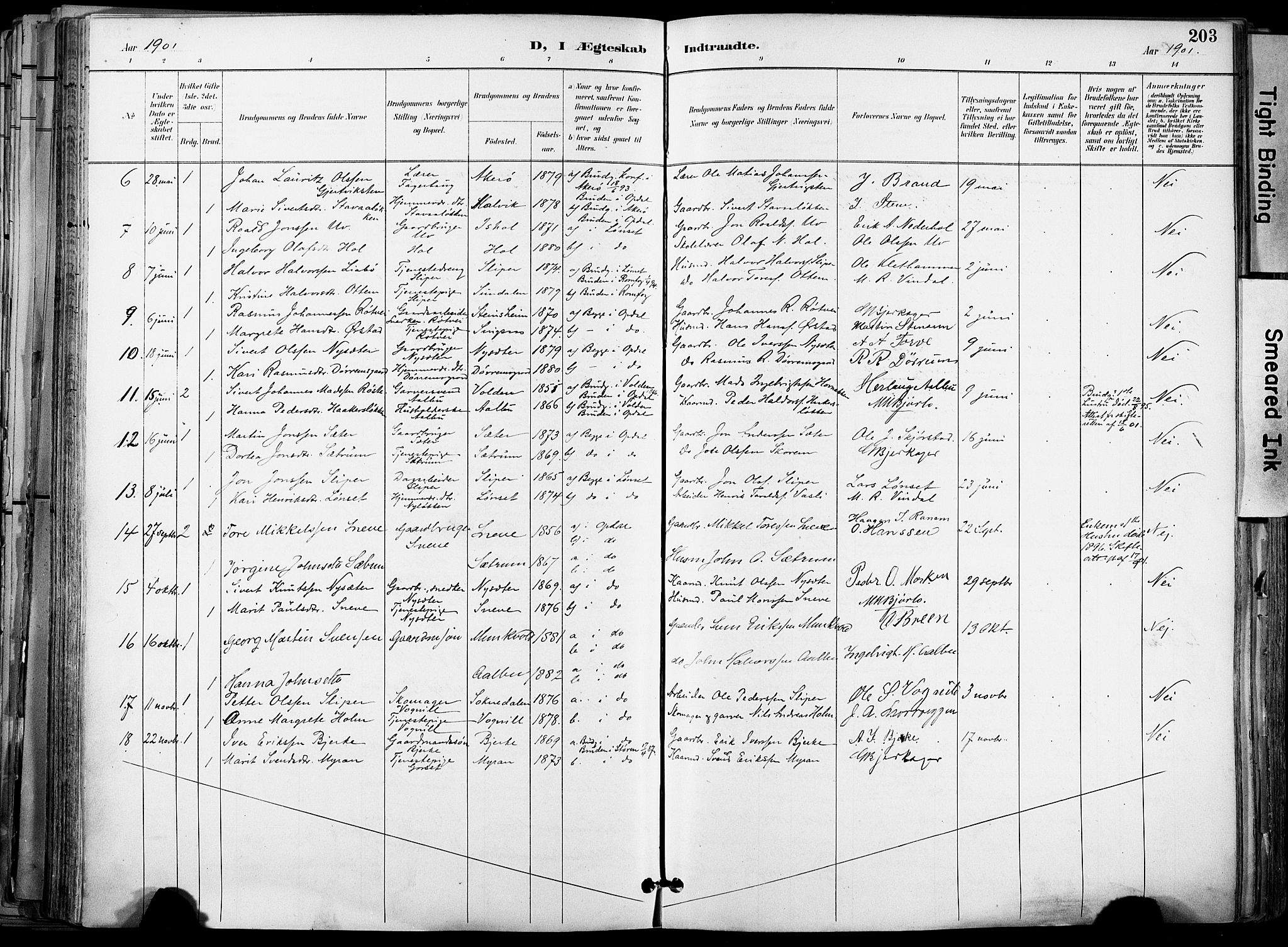 Ministerialprotokoller, klokkerbøker og fødselsregistre - Sør-Trøndelag, SAT/A-1456/678/L0902: Parish register (official) no. 678A11, 1895-1911, p. 203