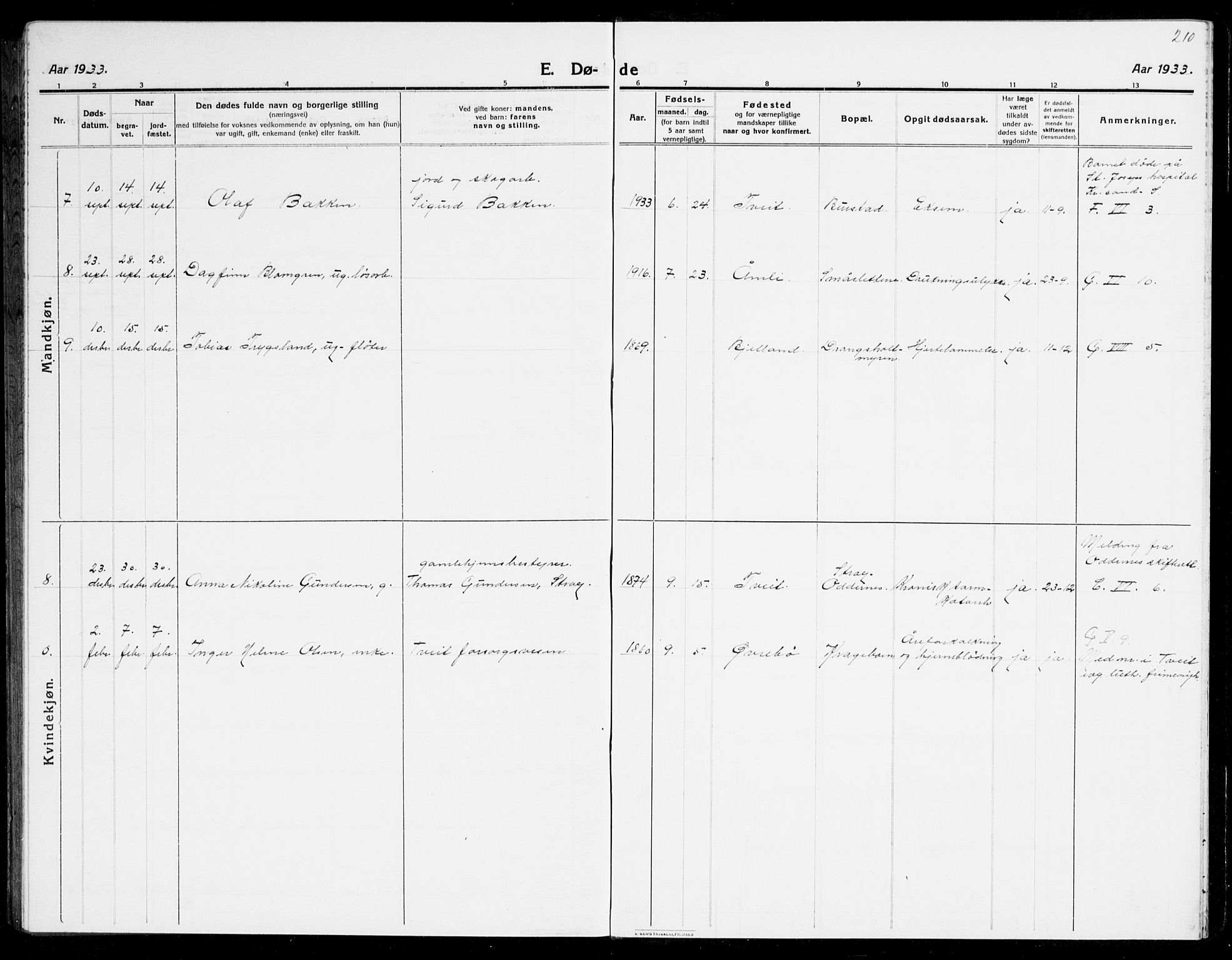 Tveit sokneprestkontor, AV/SAK-1111-0043/F/Fb/L0005: Parish register (copy) no. B 5, 1915-1941, p. 210