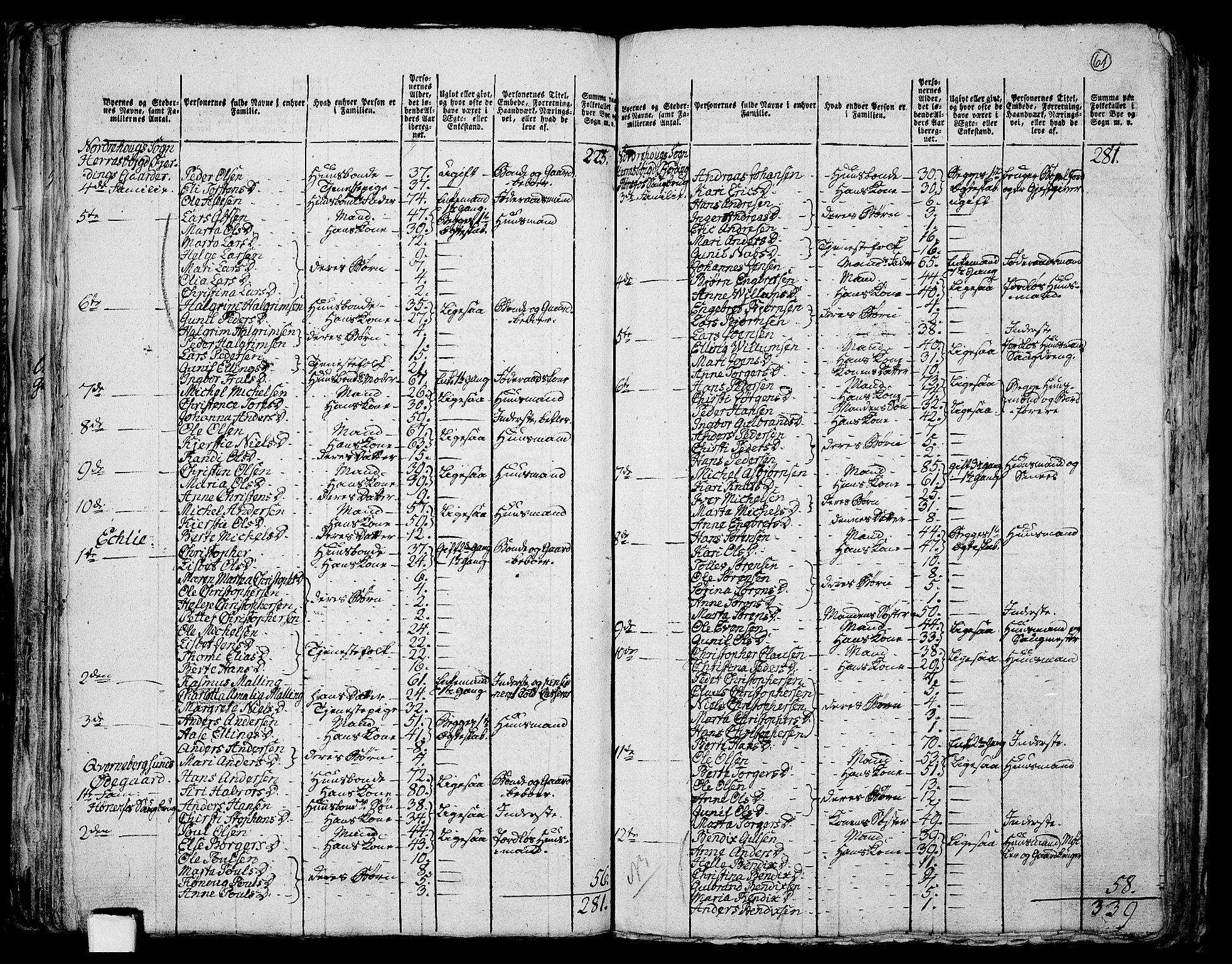 RA, 1801 census for 0613P Norderhov, 1801, p. 60b-61a