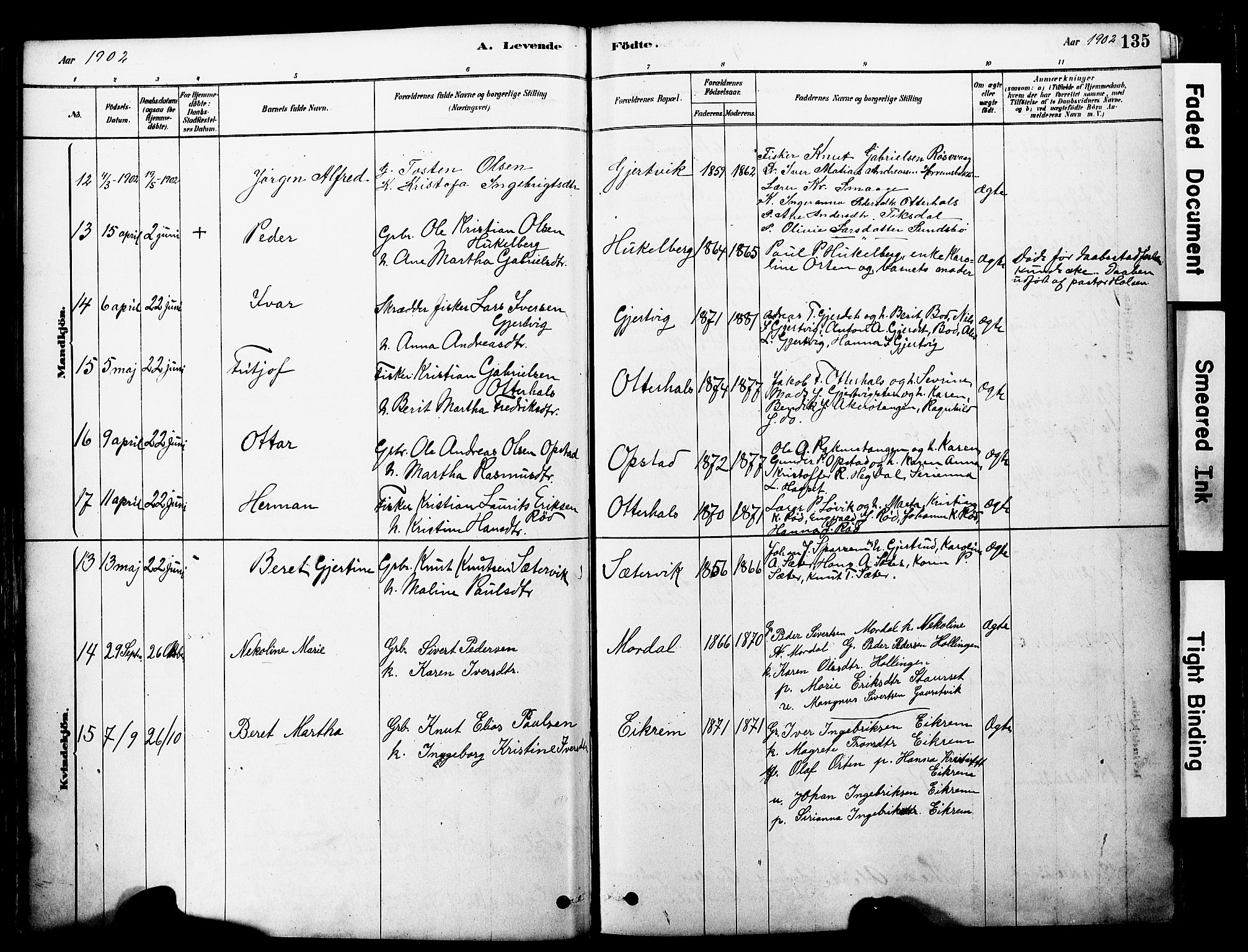 Ministerialprotokoller, klokkerbøker og fødselsregistre - Møre og Romsdal, AV/SAT-A-1454/560/L0721: Parish register (official) no. 560A05, 1878-1917, p. 135