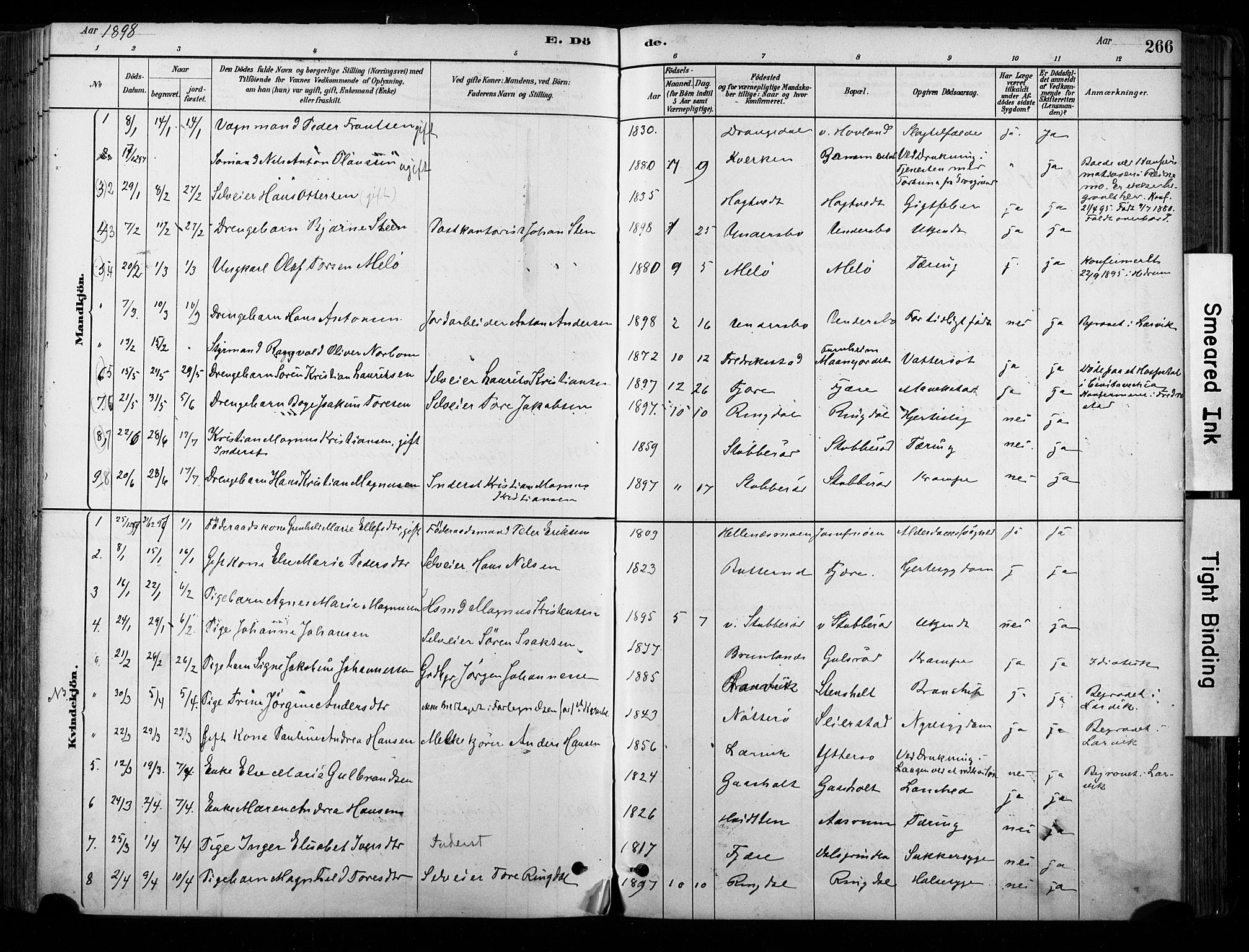 Hedrum kirkebøker, SAKO/A-344/F/Fa/L0009: Parish register (official) no. I 9, 1881-1903, p. 266