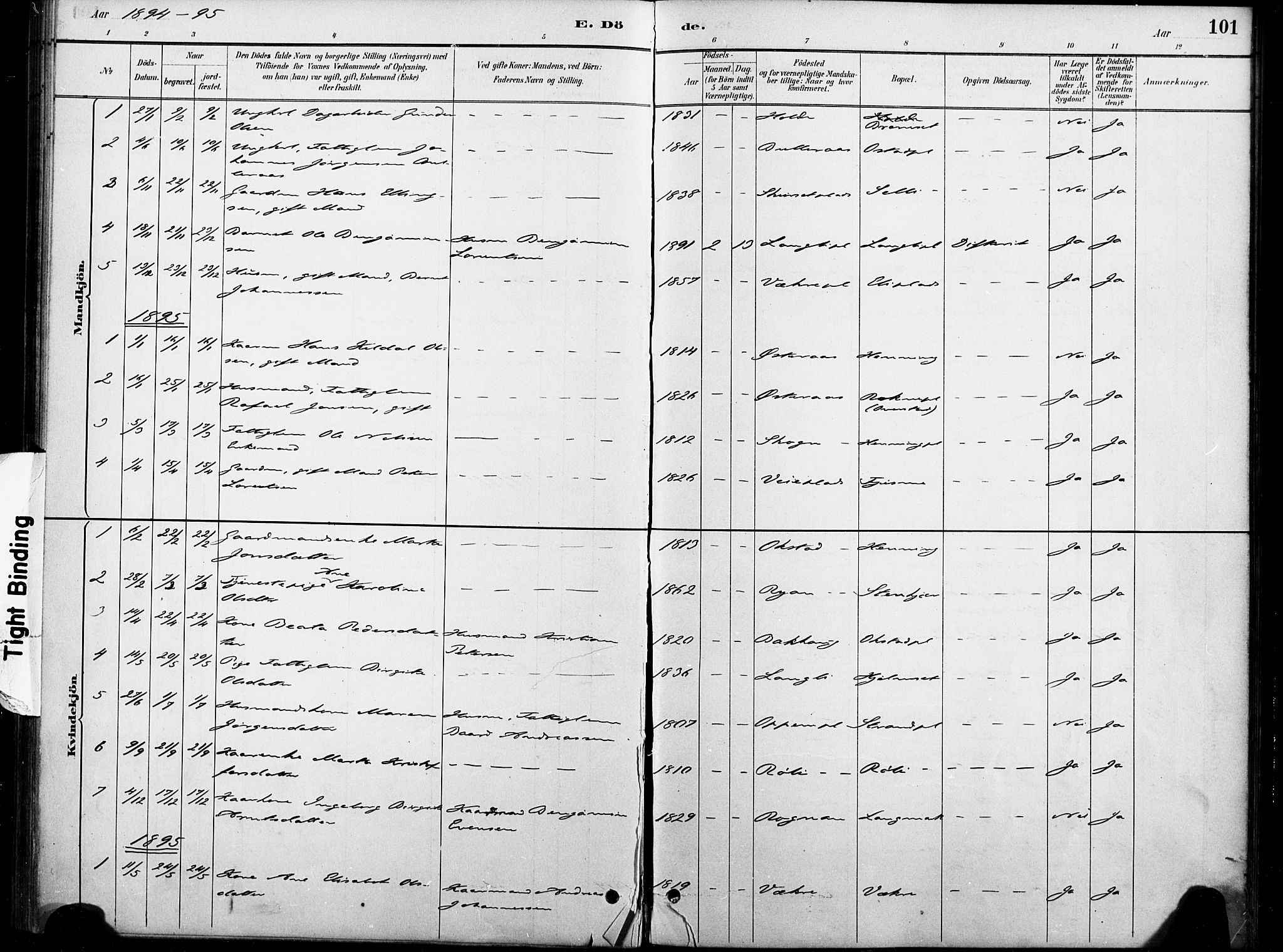 Ministerialprotokoller, klokkerbøker og fødselsregistre - Nord-Trøndelag, AV/SAT-A-1458/738/L0364: Parish register (official) no. 738A01, 1884-1902, p. 101