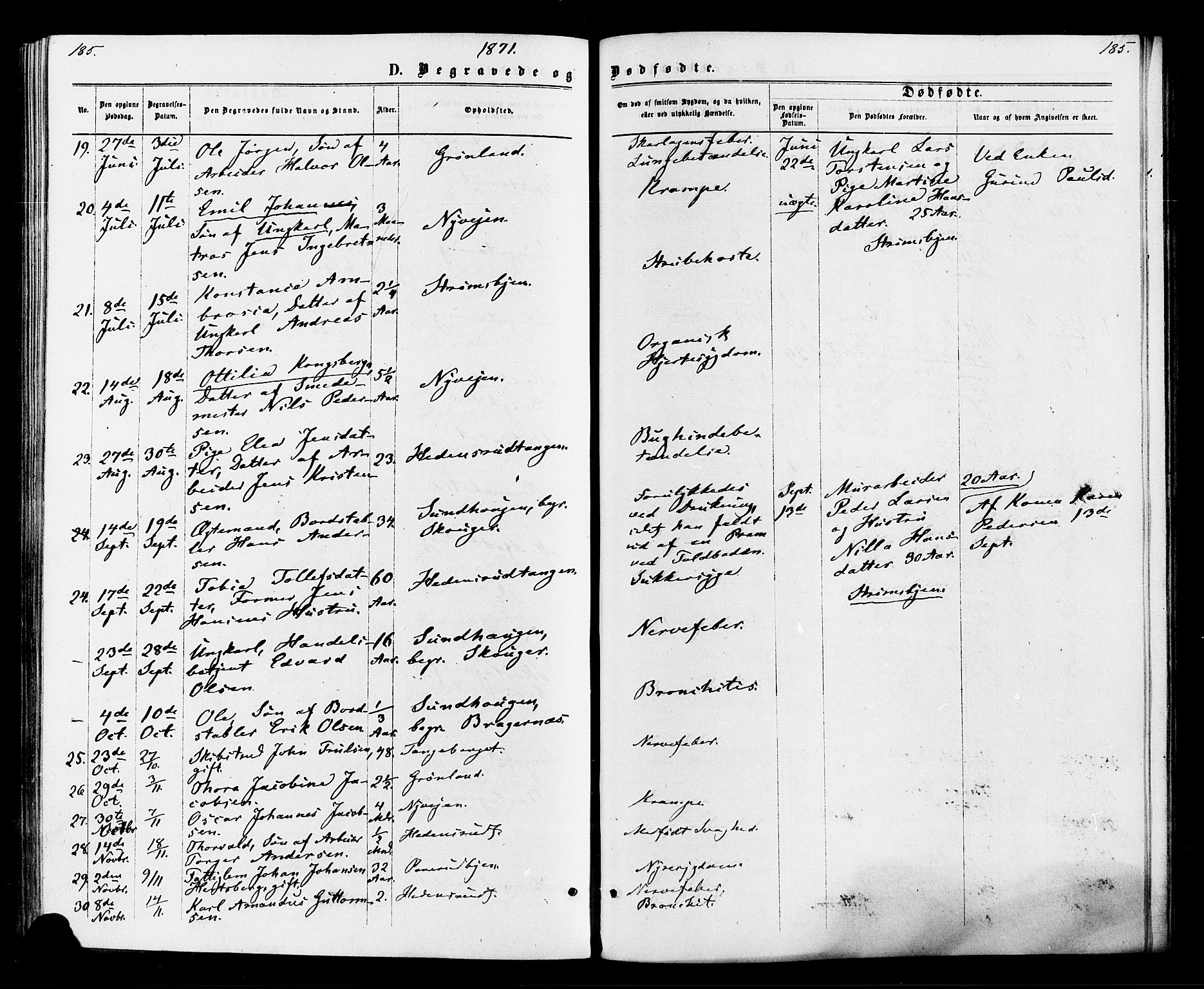 Strømsø kirkebøker, AV/SAKO-A-246/F/Fa/L0020: Parish register (official) no. I 20, 1870-1878, p. 185