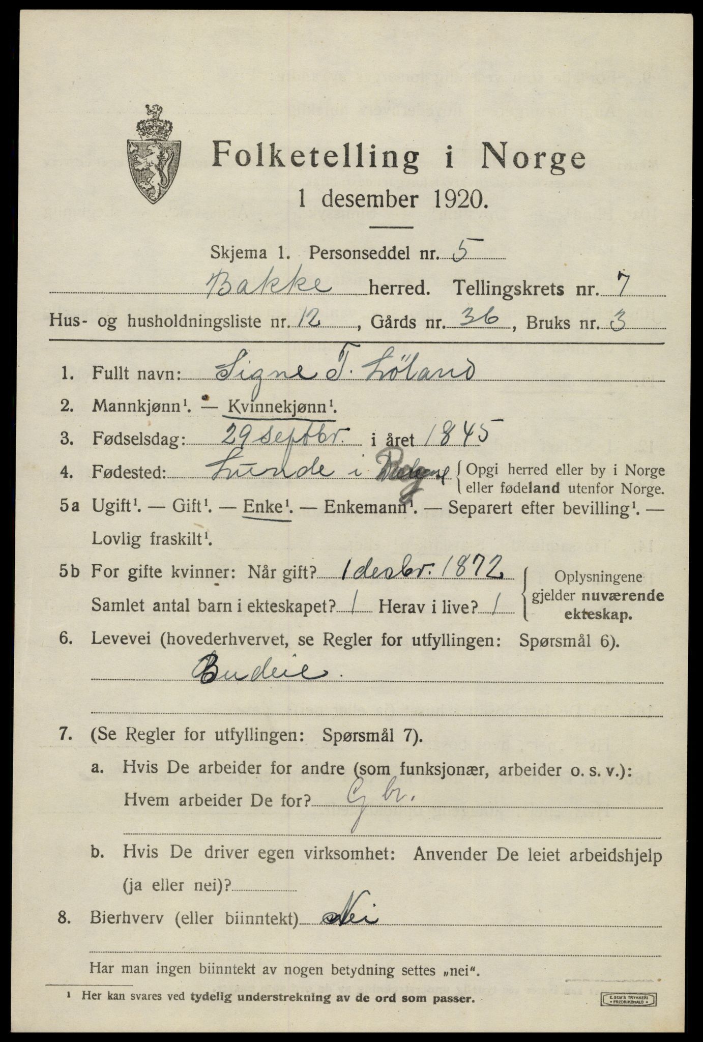 SAK, 1920 census for Bakke, 1920, p. 2368