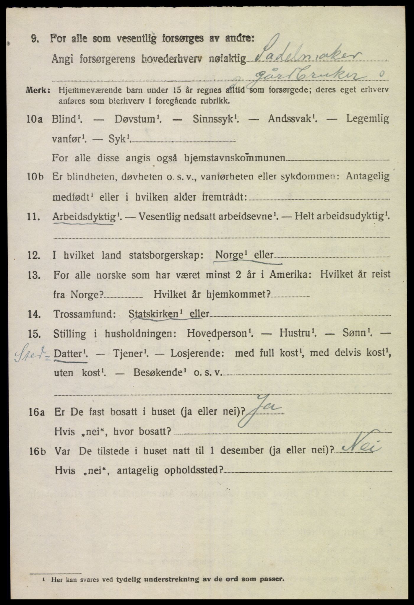 SAK, 1920 census for Sør-Audnedal, 1920, p. 3448