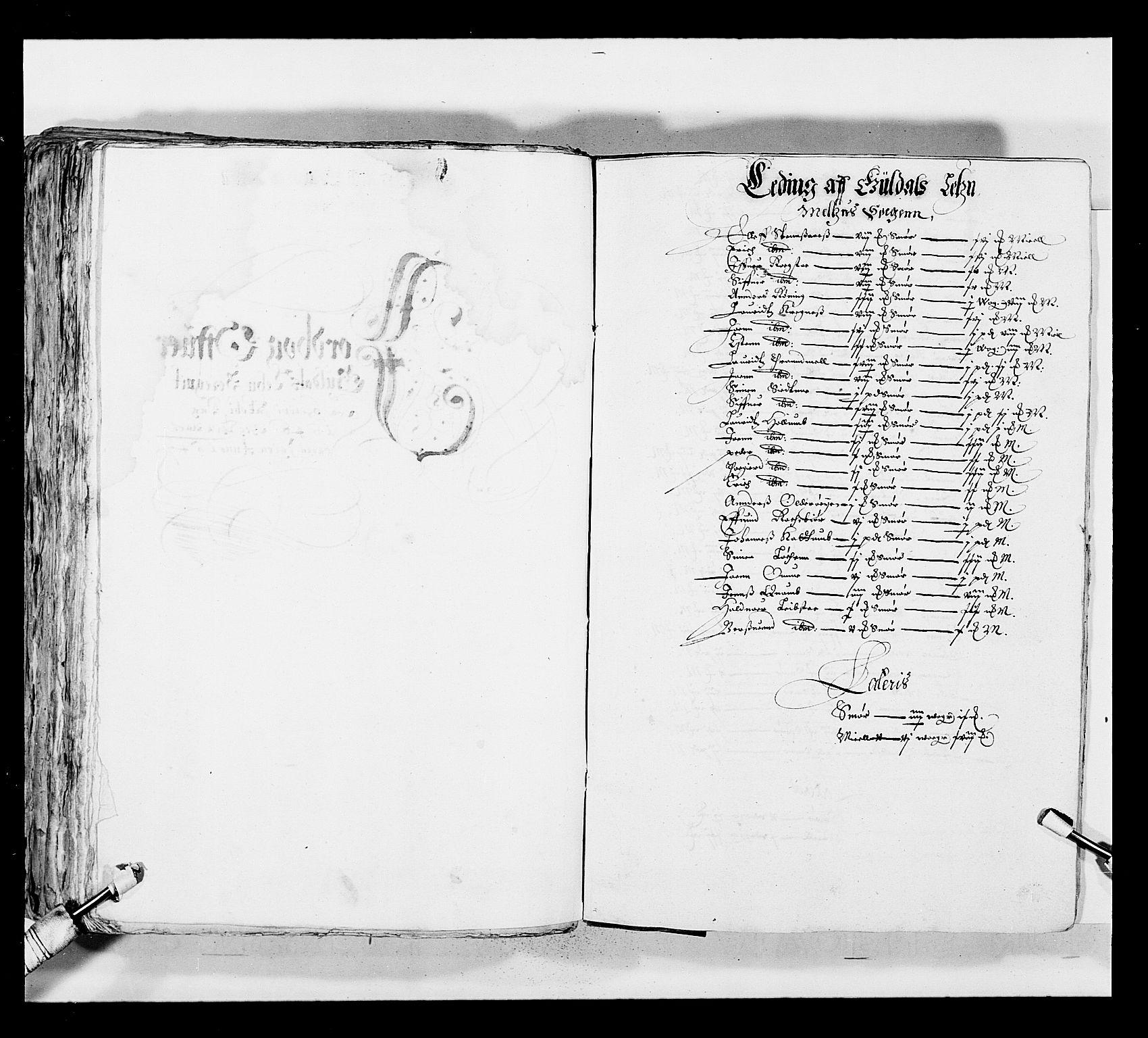 Stattholderembetet 1572-1771, RA/EA-2870/Ek/L0029/0001: Jordebøker 1633-1658: / Jordebøker for Trondheim len, 1646-1647, p. 228