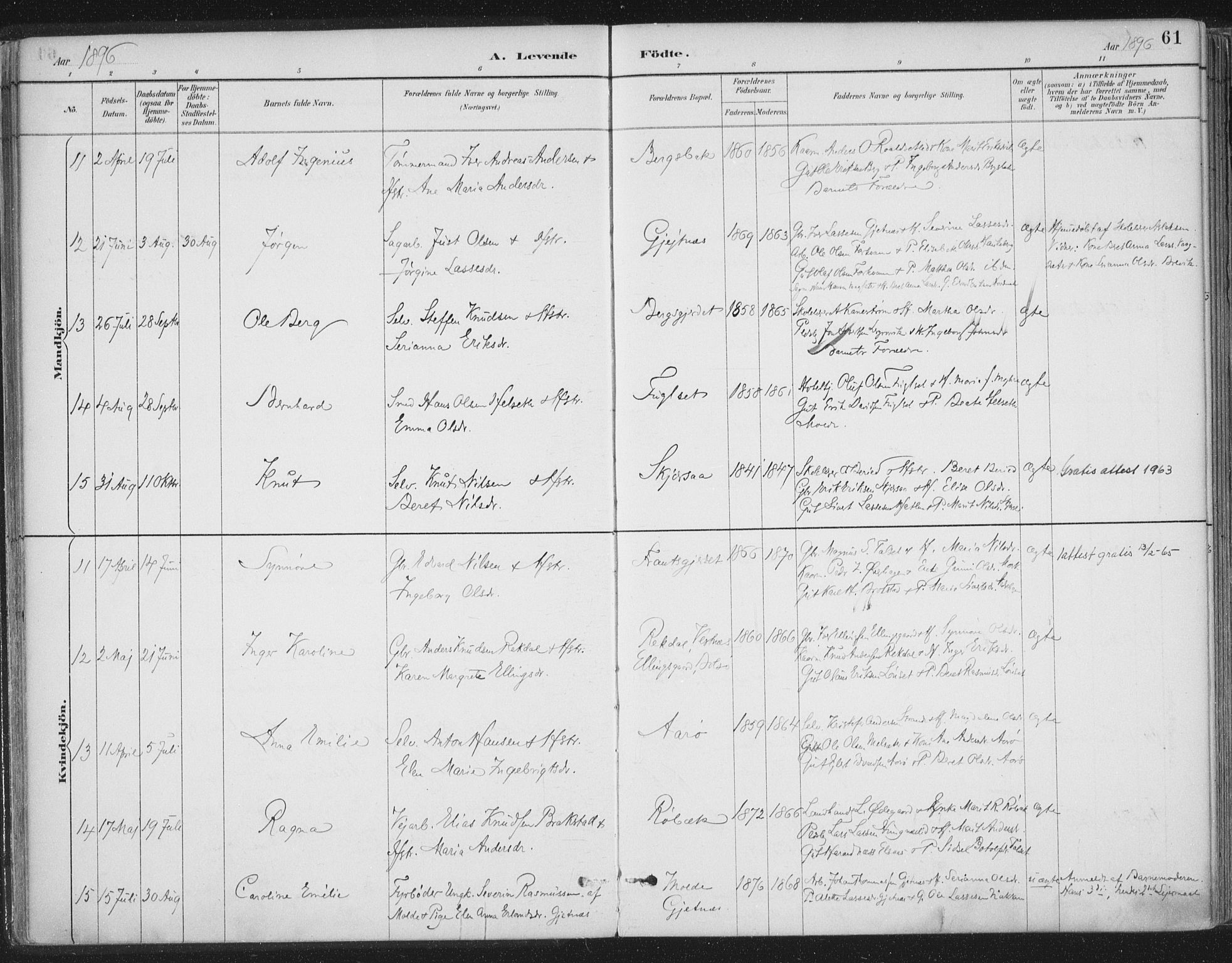 Ministerialprotokoller, klokkerbøker og fødselsregistre - Møre og Romsdal, AV/SAT-A-1454/555/L0658: Parish register (official) no. 555A09, 1887-1917, p. 61