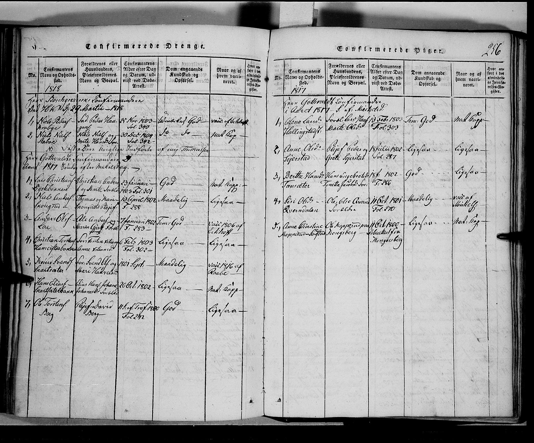 Toten prestekontor, SAH/PREST-102/H/Ha/Hab/L0001: Parish register (copy) no. 1, 1814-1820, p. 256