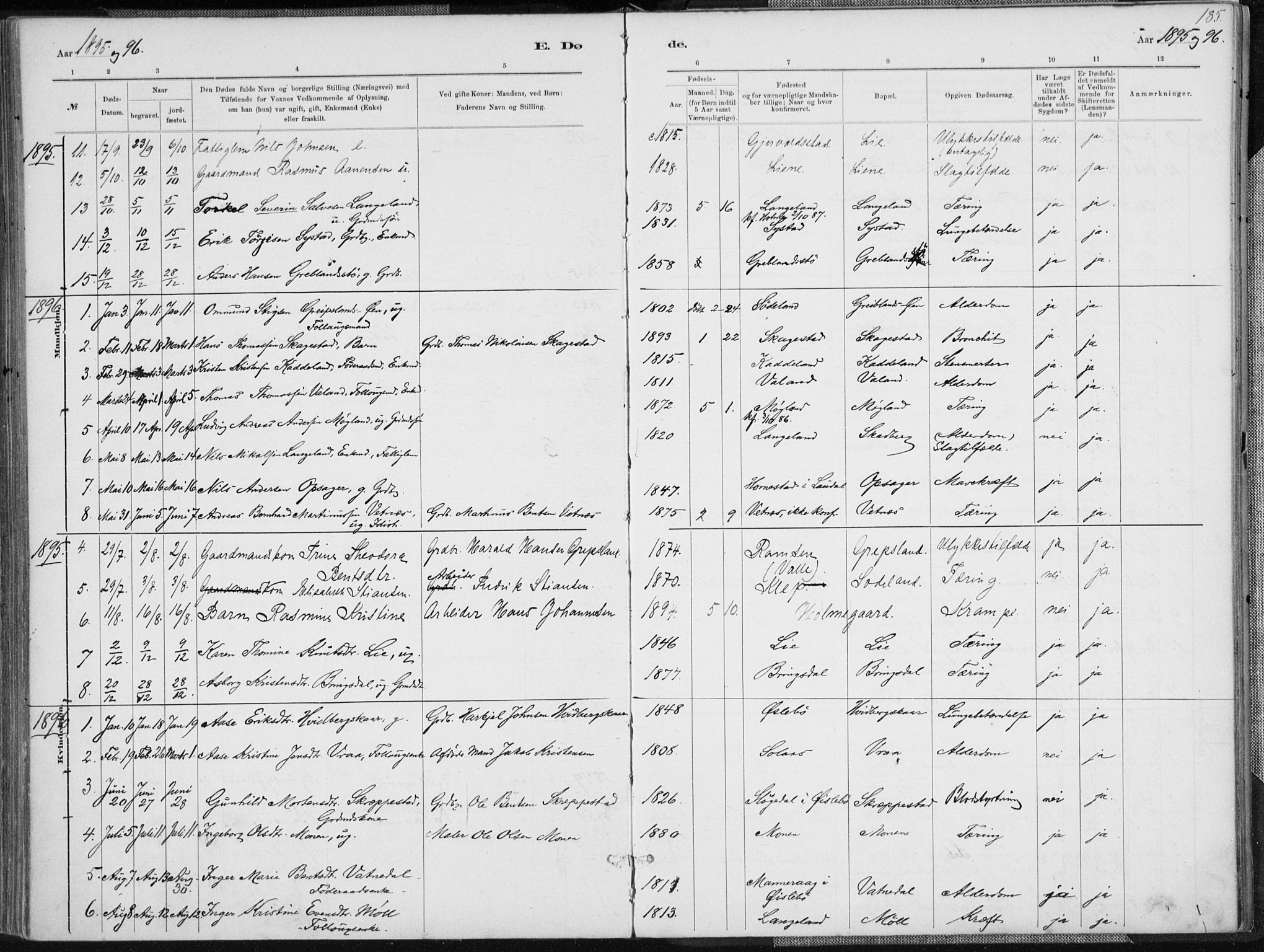Holum sokneprestkontor, SAK/1111-0022/F/Fa/Faa/L0007: Parish register (official) no. A 7, 1884-1907, p. 185