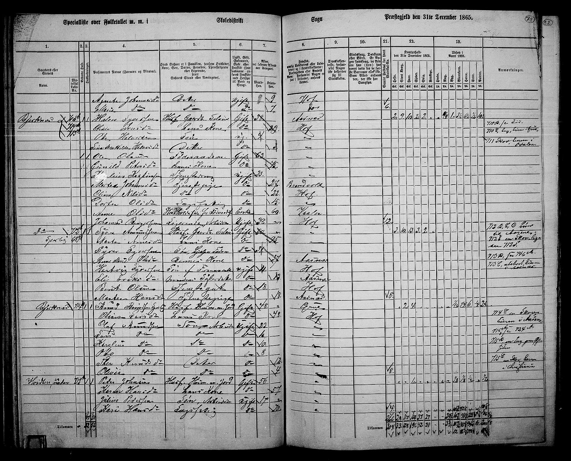 RA, 1865 census for Hof, 1865, p. 74
