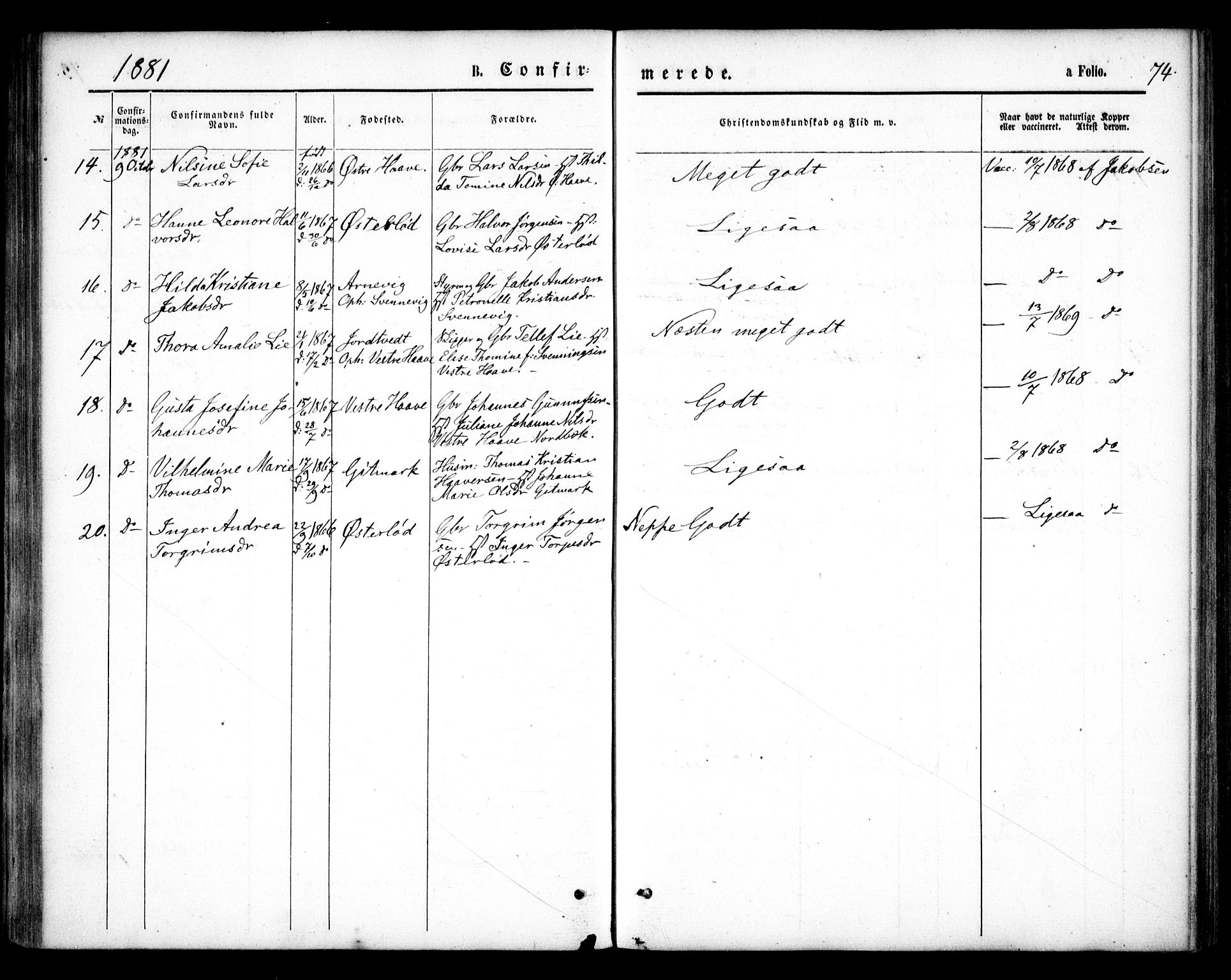 Hommedal sokneprestkontor, SAK/1111-0023/F/Fa/Faa/L0002: Parish register (official) no. A 2, 1861-1884, p. 74