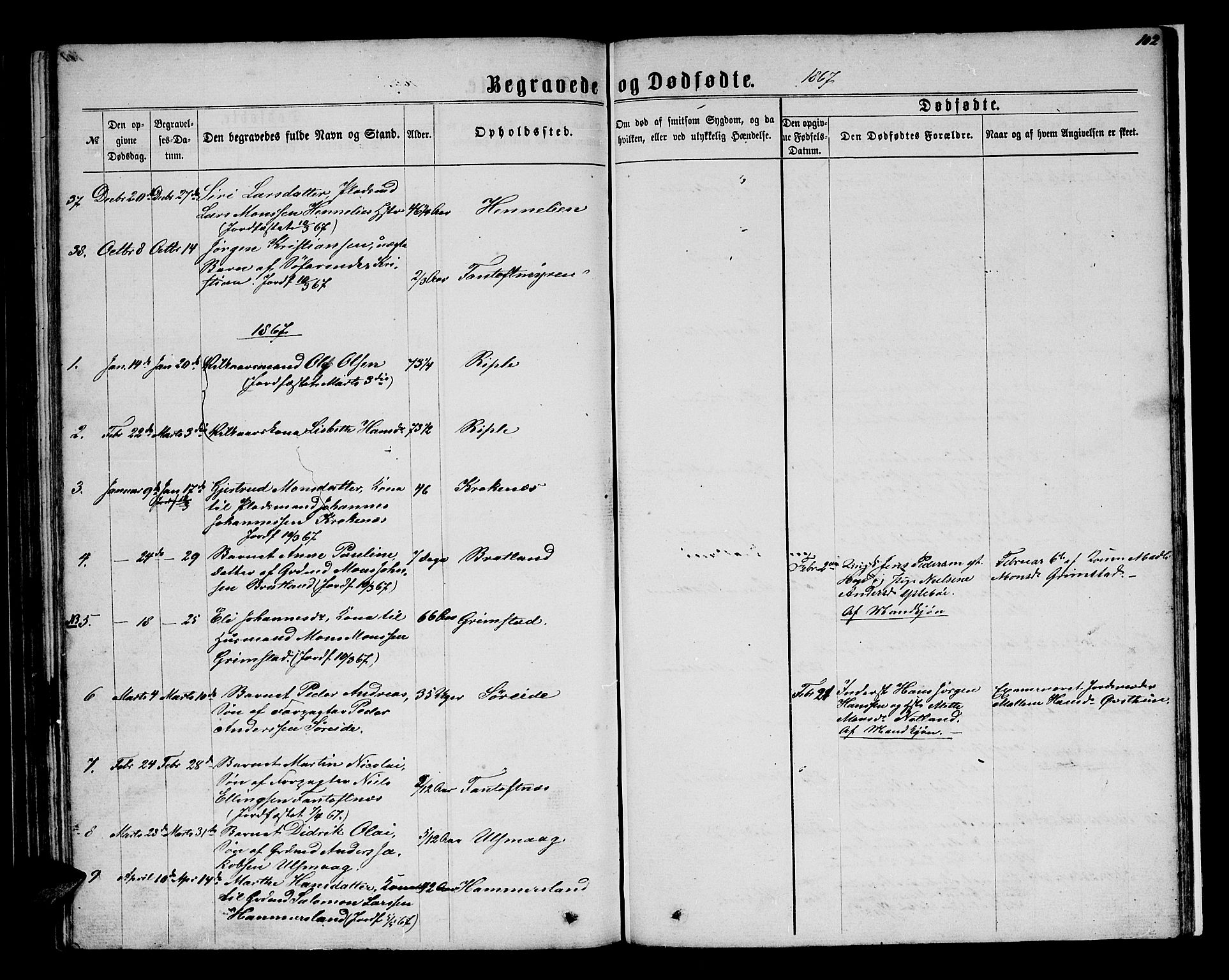 Birkeland Sokneprestembete, SAB/A-74601/H/Hab: Parish register (copy) no. A 2, 1863-1876, p. 102