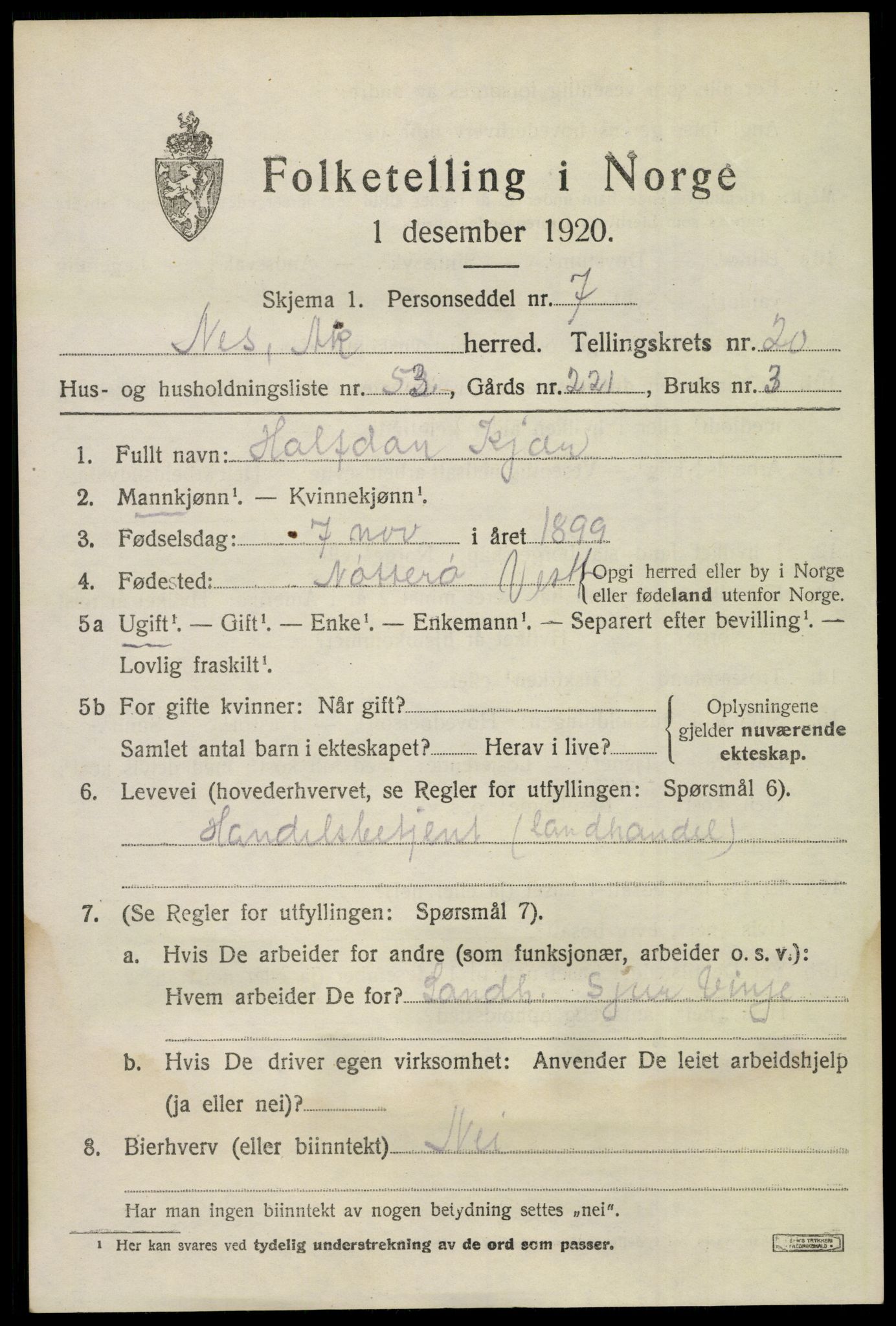 SAO, 1920 census for Nes, 1920, p. 21938