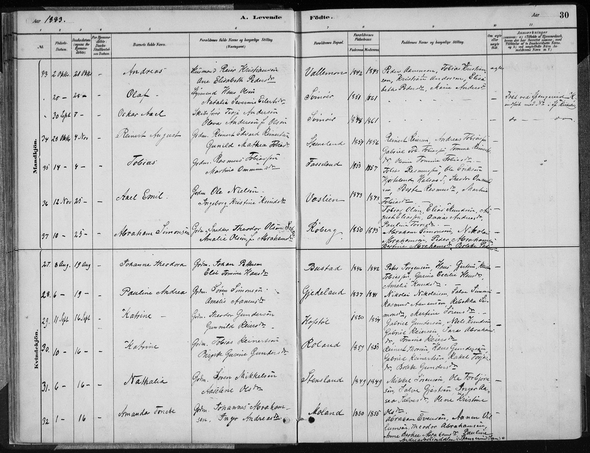 Sør-Audnedal sokneprestkontor, AV/SAK-1111-0039/F/Fa/Fab/L0009: Parish register (official) no. A 9, 1880-1895, p. 30