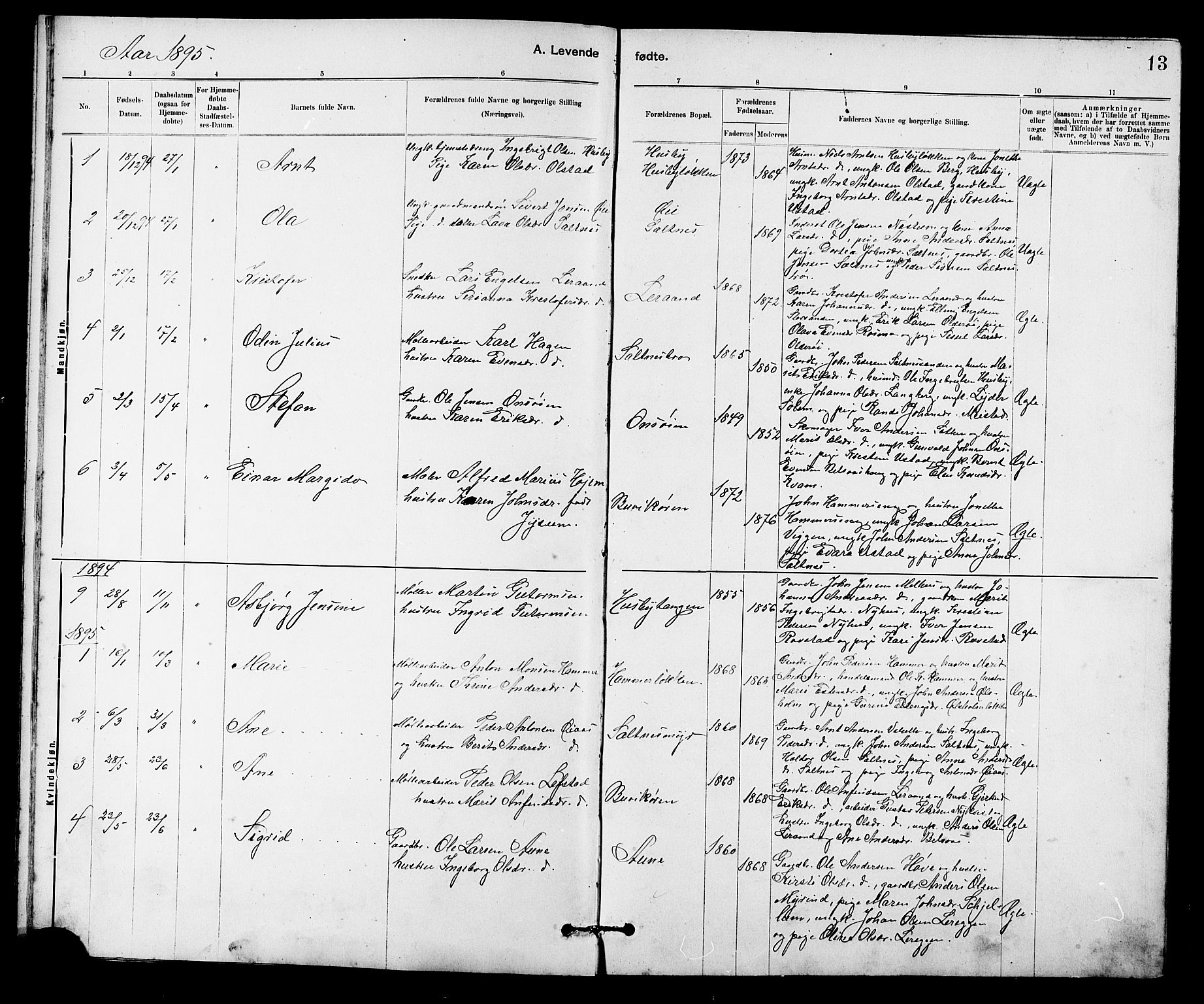 Ministerialprotokoller, klokkerbøker og fødselsregistre - Sør-Trøndelag, SAT/A-1456/666/L0790: Parish register (copy) no. 666C03, 1885-1908, p. 13