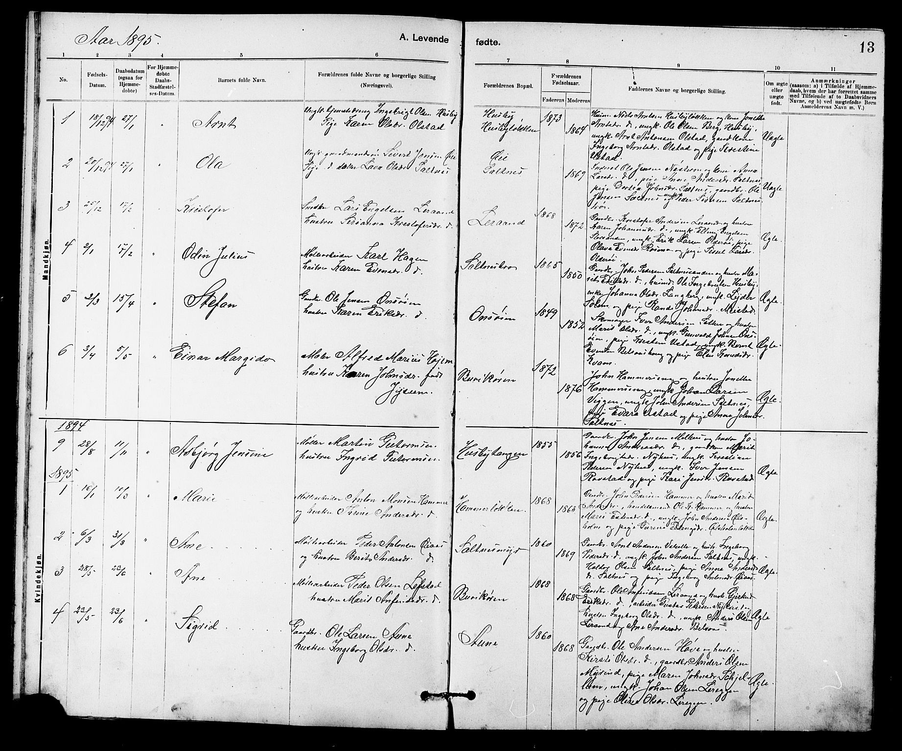 Ministerialprotokoller, klokkerbøker og fødselsregistre - Sør-Trøndelag, AV/SAT-A-1456/666/L0790: Parish register (copy) no. 666C03, 1885-1908, p. 13