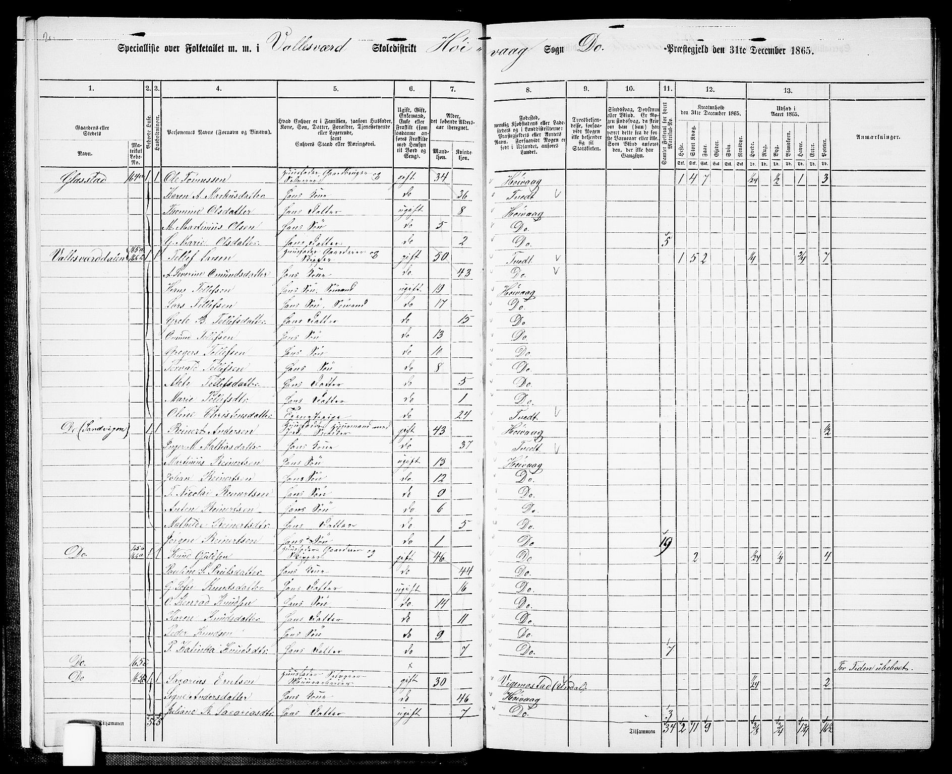 RA, 1865 census for Høvåg, 1865, p. 12