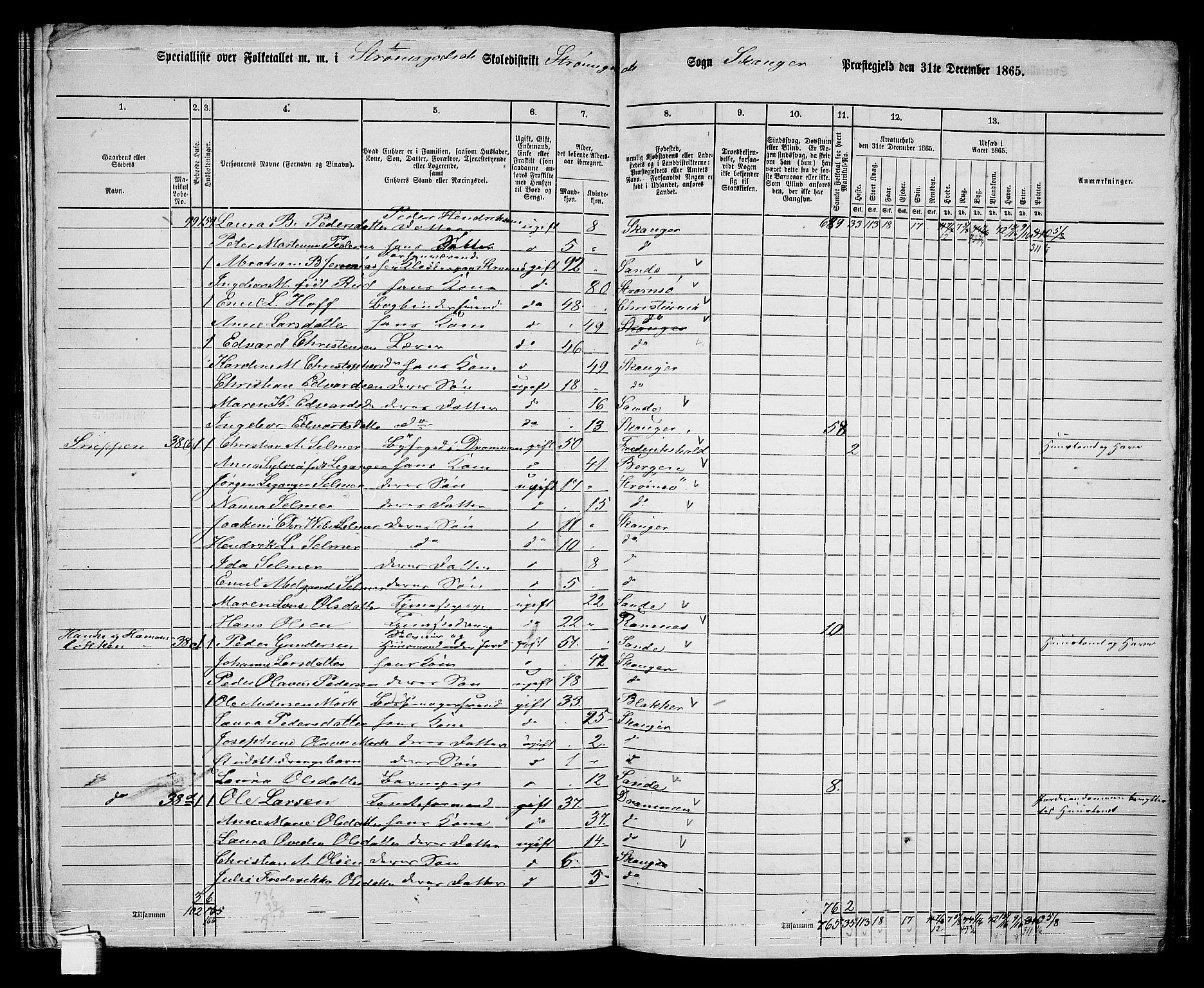 RA, 1865 census for Skoger, 1865, p. 142