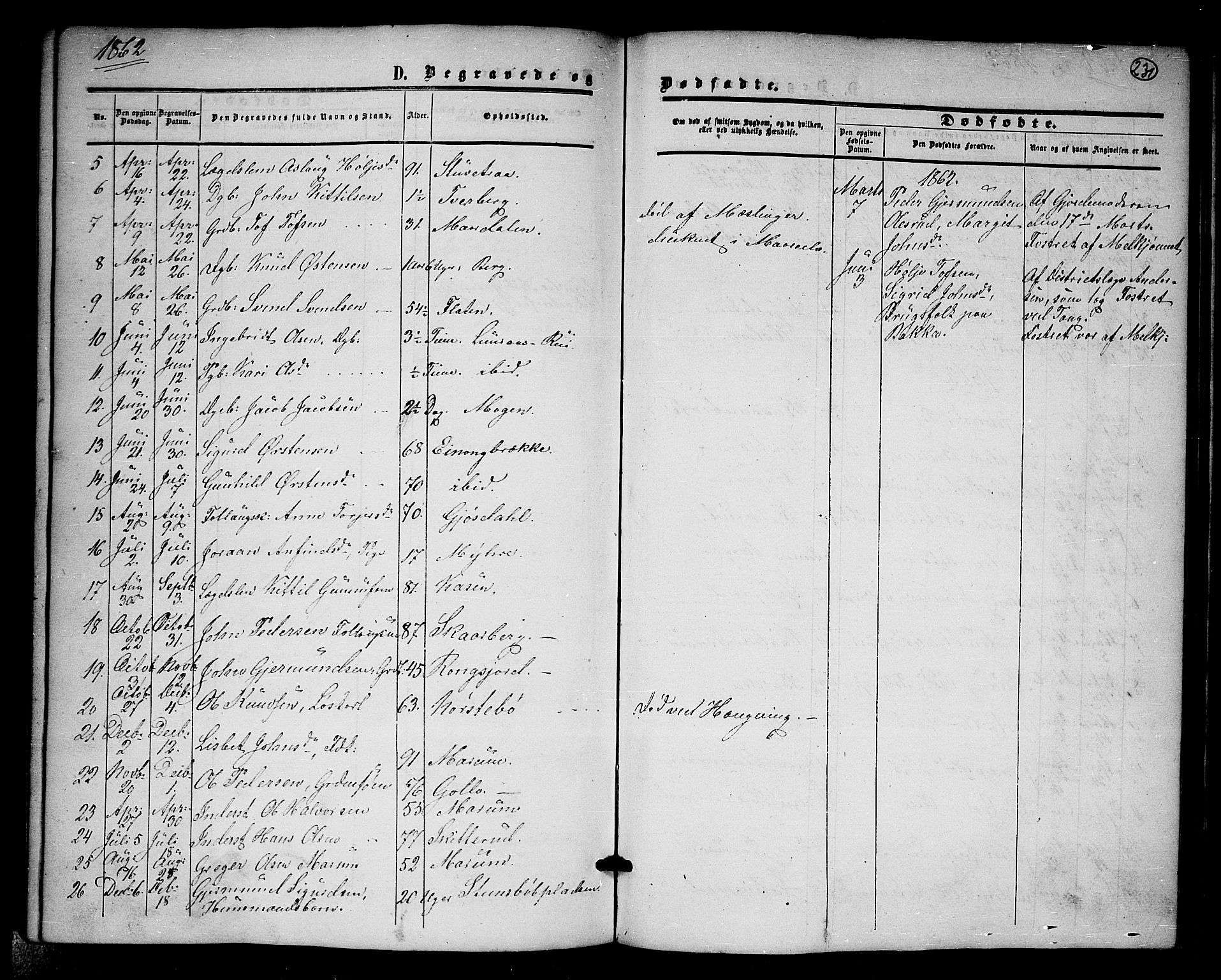 Tinn kirkebøker, SAKO/A-308/G/Ga/L0002: Parish register (copy) no. I 2, 1851-1883, p. 231