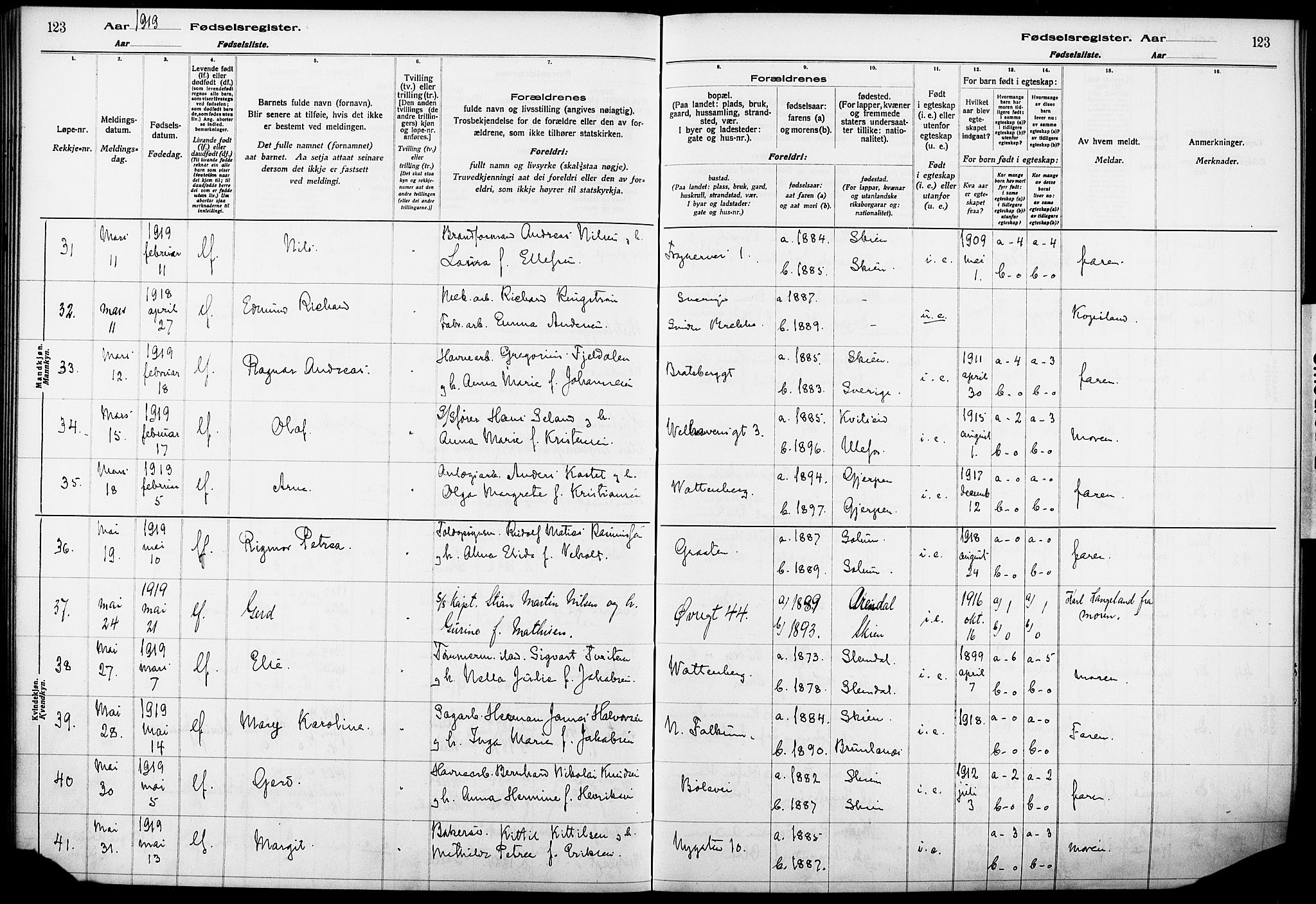 Skien kirkebøker, AV/SAKO-A-302/J/Ja/L0001: Birth register no. 1, 1916-1920, p. 123