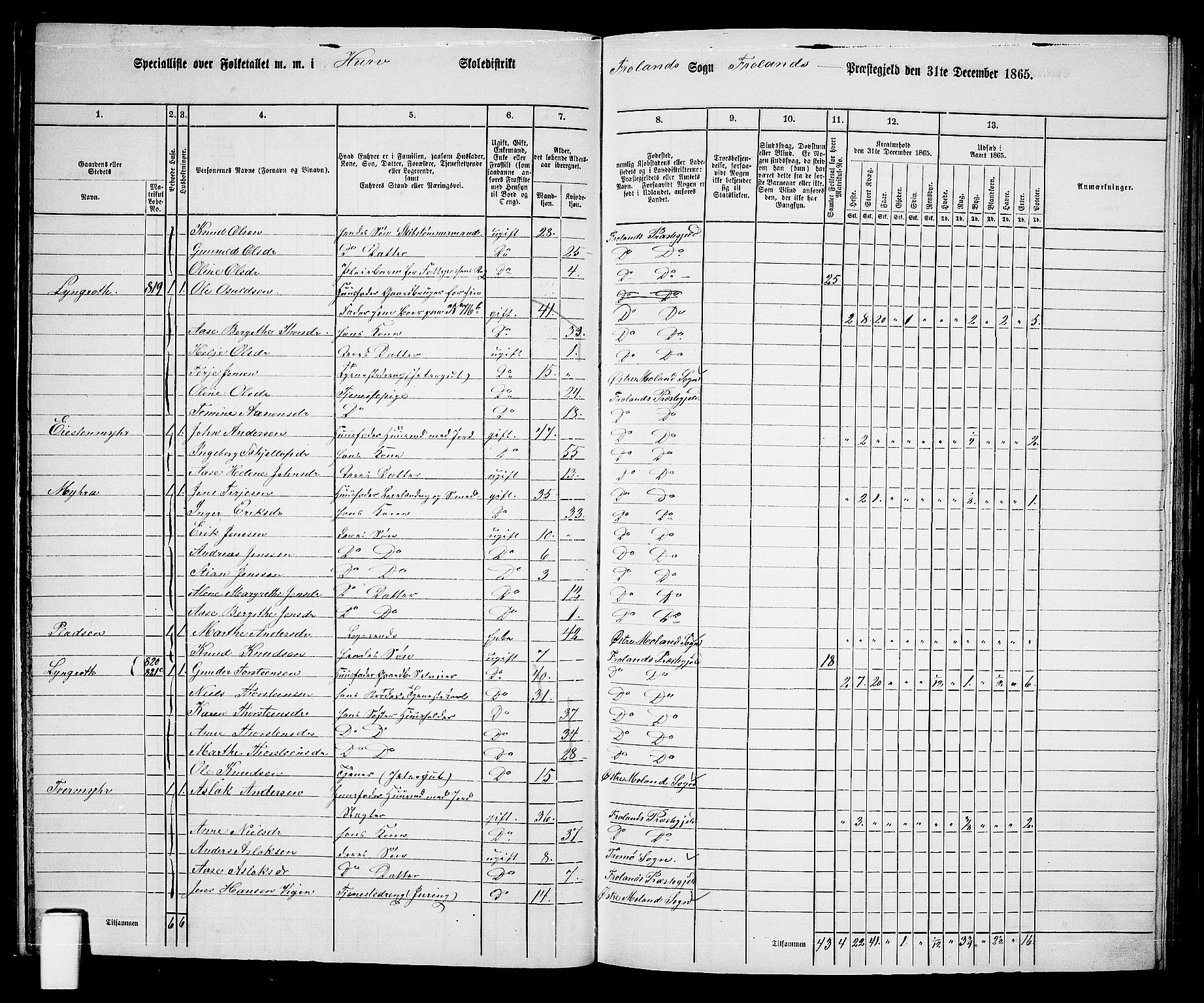 RA, 1865 census for Froland, 1865, p. 20