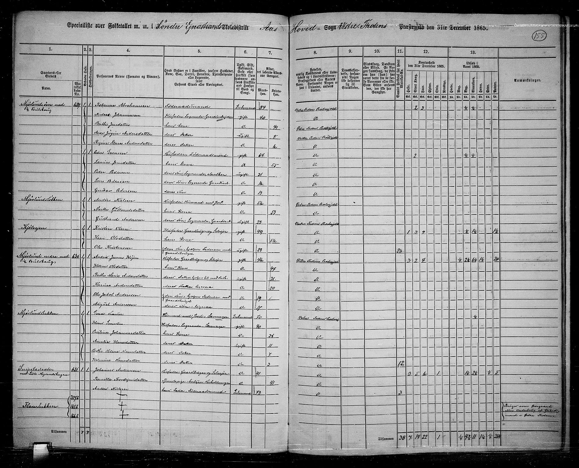 RA, 1865 census for Vestre Toten, 1865, p. 138