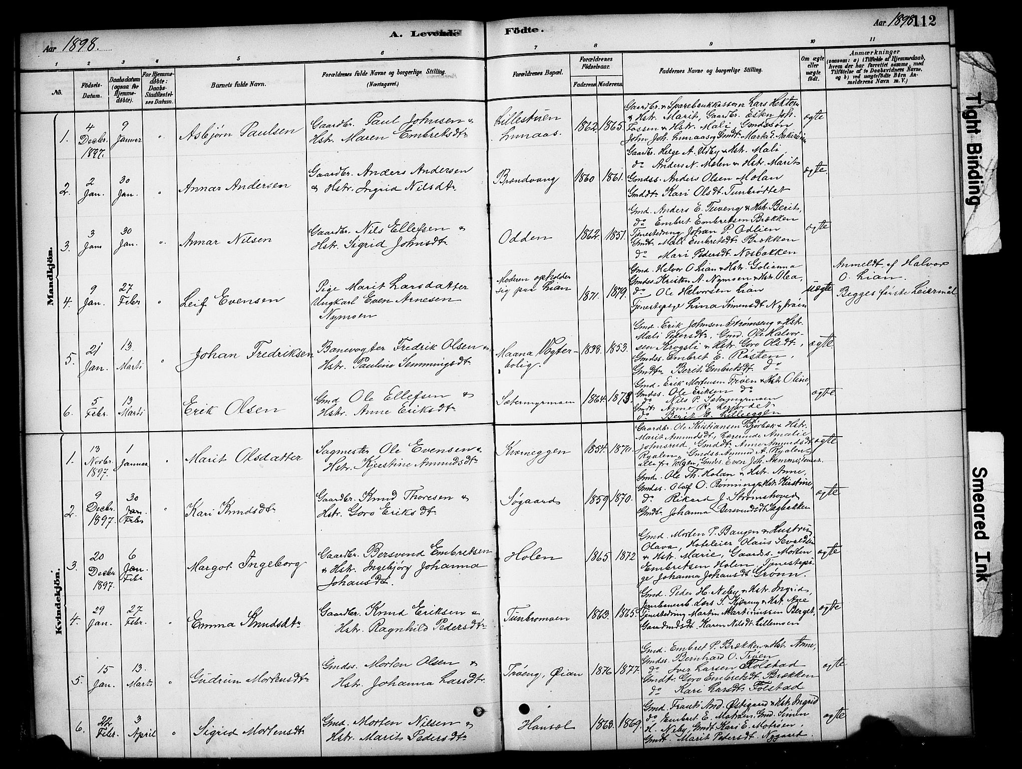 Tynset prestekontor, SAH/PREST-058/H/Ha/Hab/L0006: Parish register (copy) no. 6, 1880-1899, p. 112