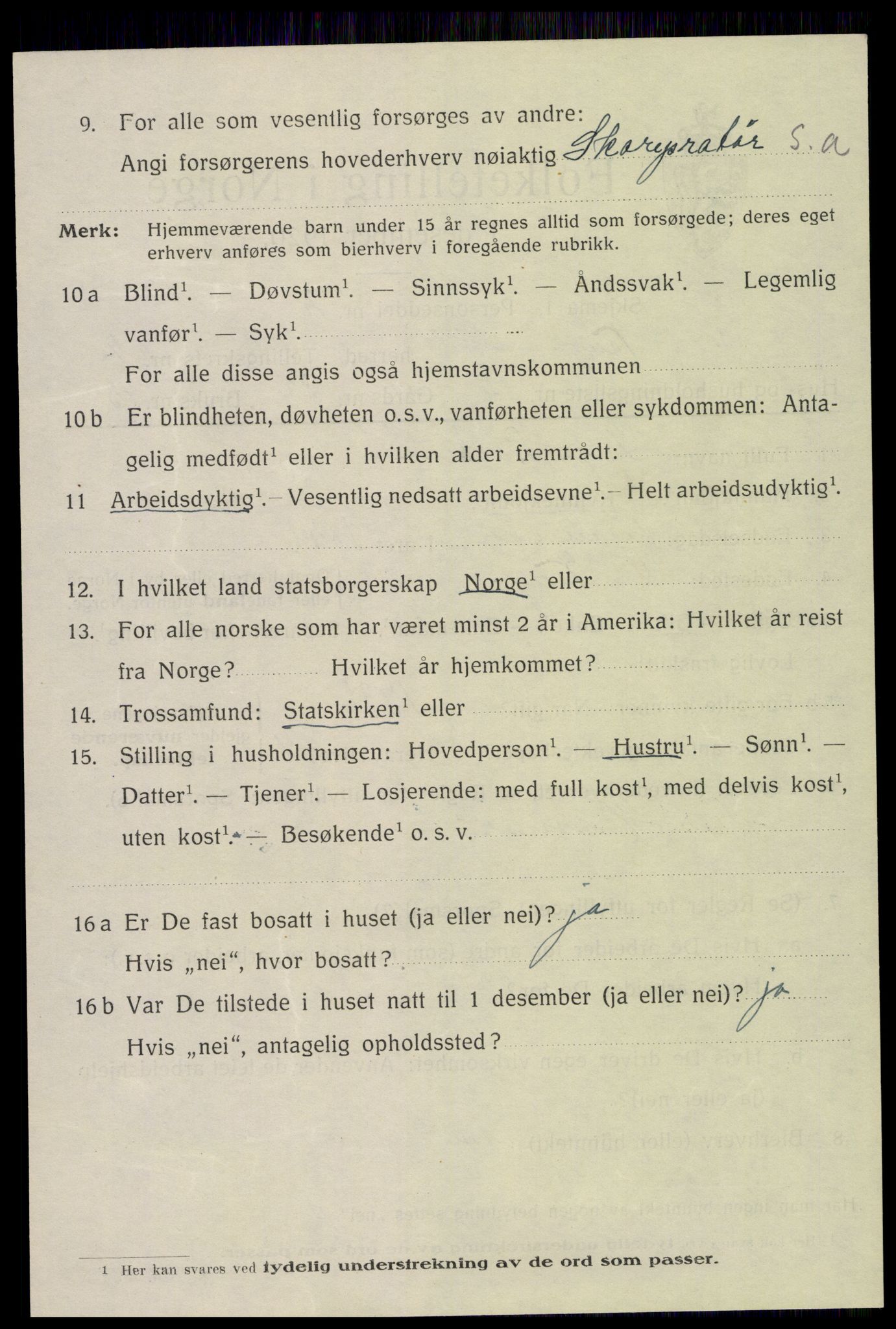 SAH, 1920 census for Vang (Hedmark), 1920, p. 17024