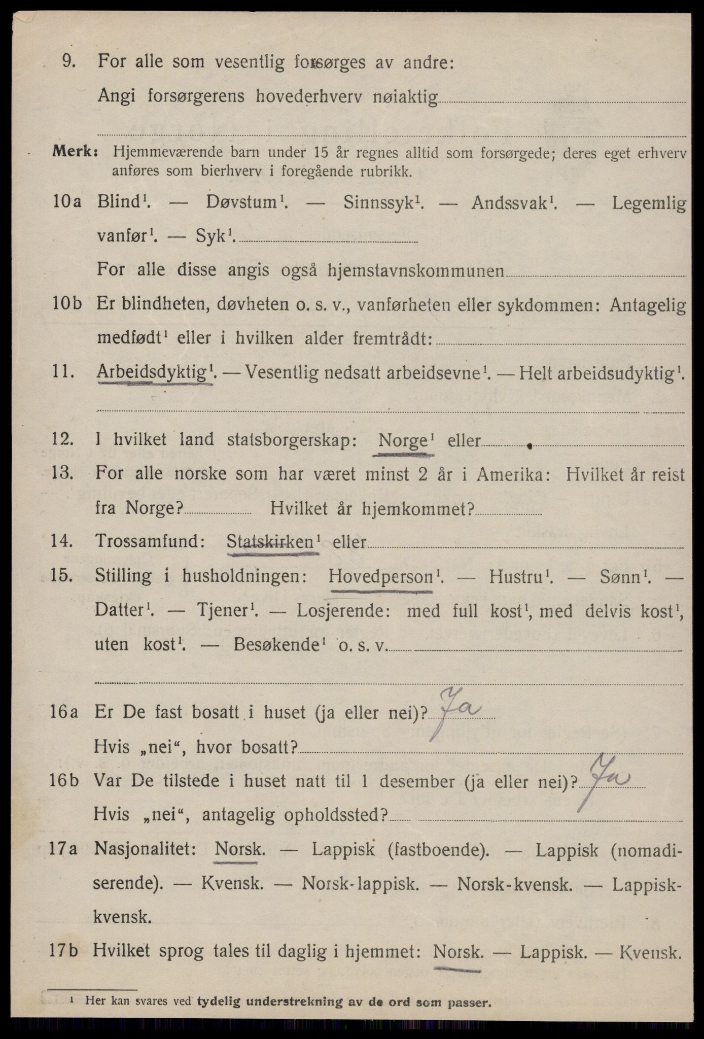 SAT, 1920 census for Strinda, 1920, p. 6017