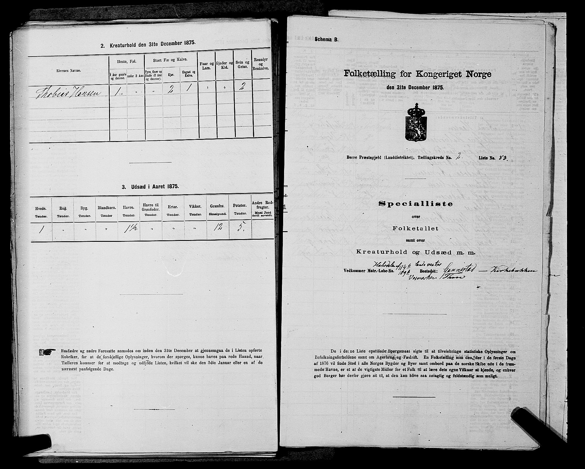 SAKO, 1875 census for 0717L Borre/Borre og Nykirke, 1875, p. 491