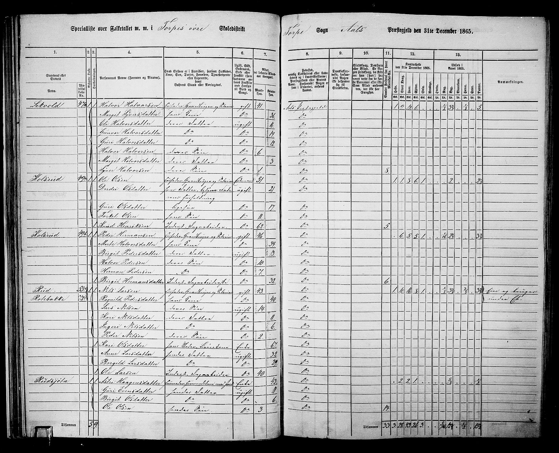 RA, 1865 census for Ål, 1865, p. 43