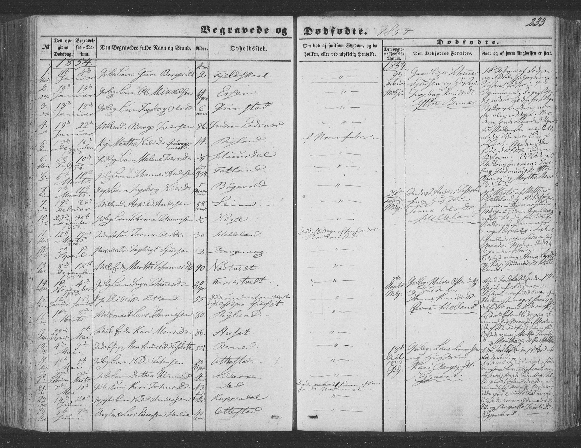 Hosanger sokneprestembete, SAB/A-75801/H/Haa: Parish register (official) no. A 8, 1849-1863, p. 233