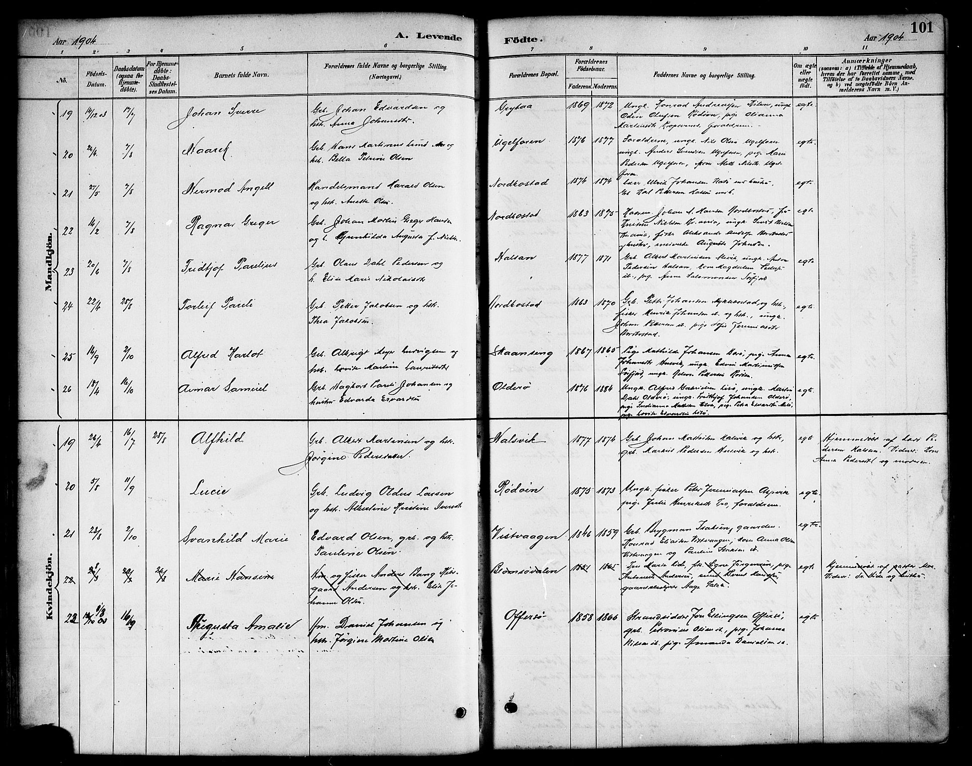 Ministerialprotokoller, klokkerbøker og fødselsregistre - Nordland, AV/SAT-A-1459/817/L0268: Parish register (copy) no. 817C03, 1884-1920, p. 101