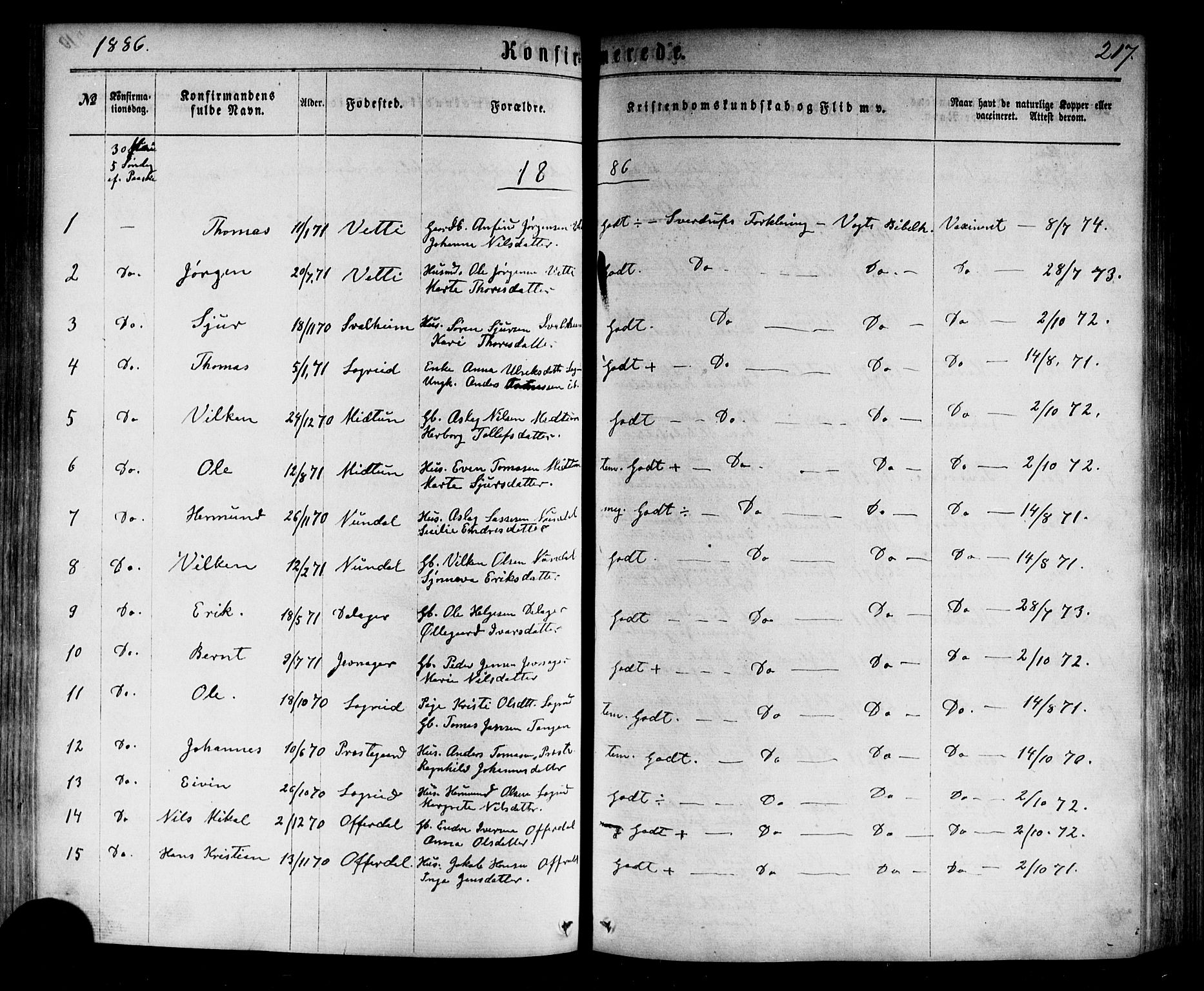 Årdal sokneprestembete, SAB/A-81701: Parish register (official) no. A 3, 1863-1886, p. 217