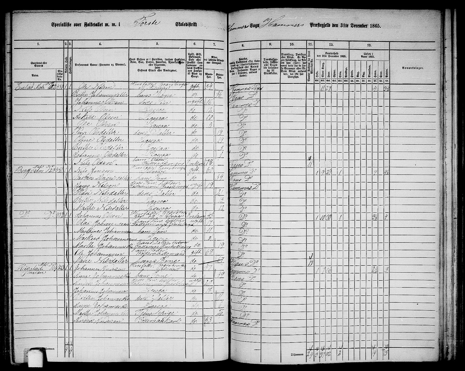 RA, 1865 census for Hamre, 1865, p. 160