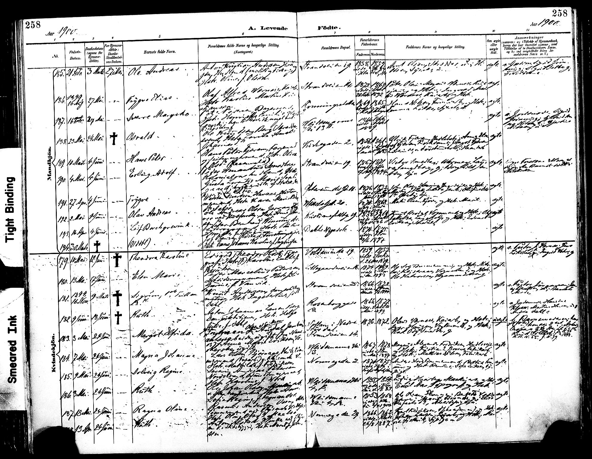 Ministerialprotokoller, klokkerbøker og fødselsregistre - Sør-Trøndelag, SAT/A-1456/604/L0197: Parish register (official) no. 604A18, 1893-1900, p. 258