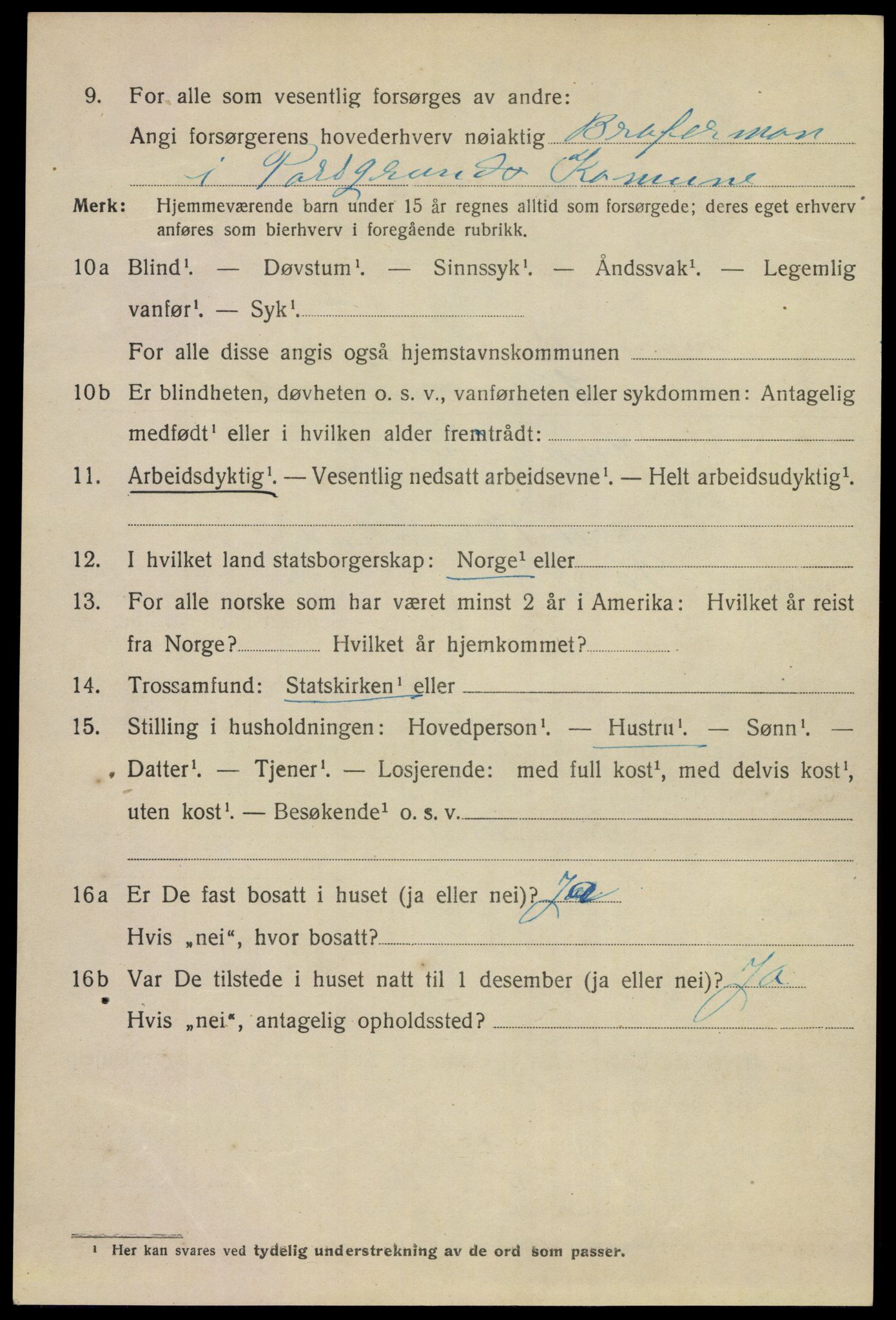 SAKO, 1920 census for Porsgrunn, 1920, p. 17334