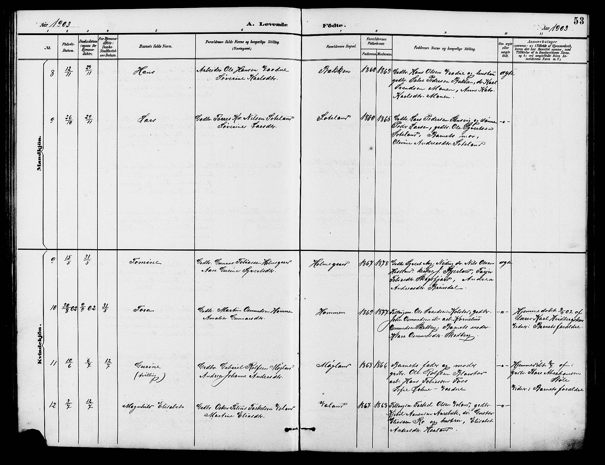 Holum sokneprestkontor, AV/SAK-1111-0022/F/Fb/Fba/L0005: Parish register (copy) no. B 5, 1891-1909, p. 53