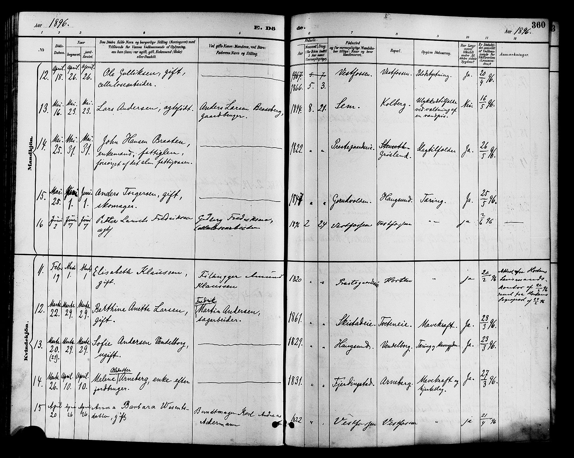 Eiker kirkebøker, SAKO/A-4/F/Fb/L0002: Parish register (official) no. II 2, 1889-1896, p. 360