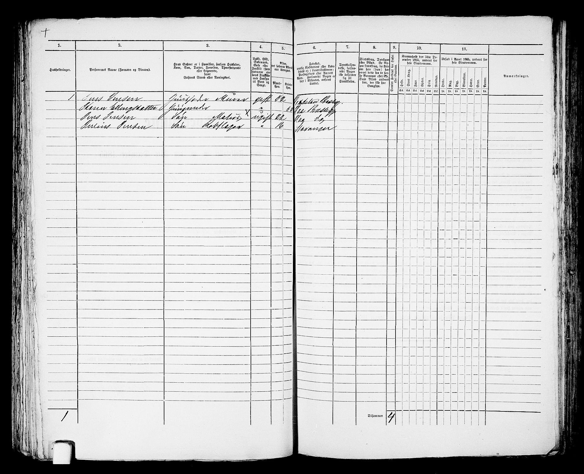 RA, 1865 census for Mandal/Mandal, 1865, p. 739