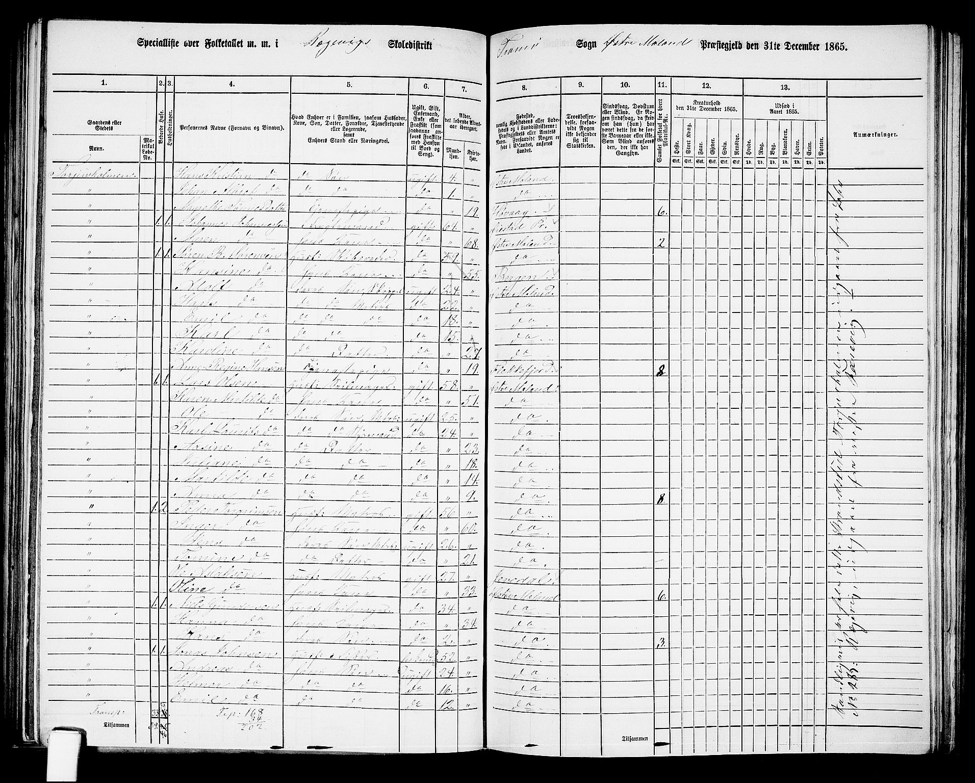 RA, 1865 census for Austre Moland, 1865, p. 237