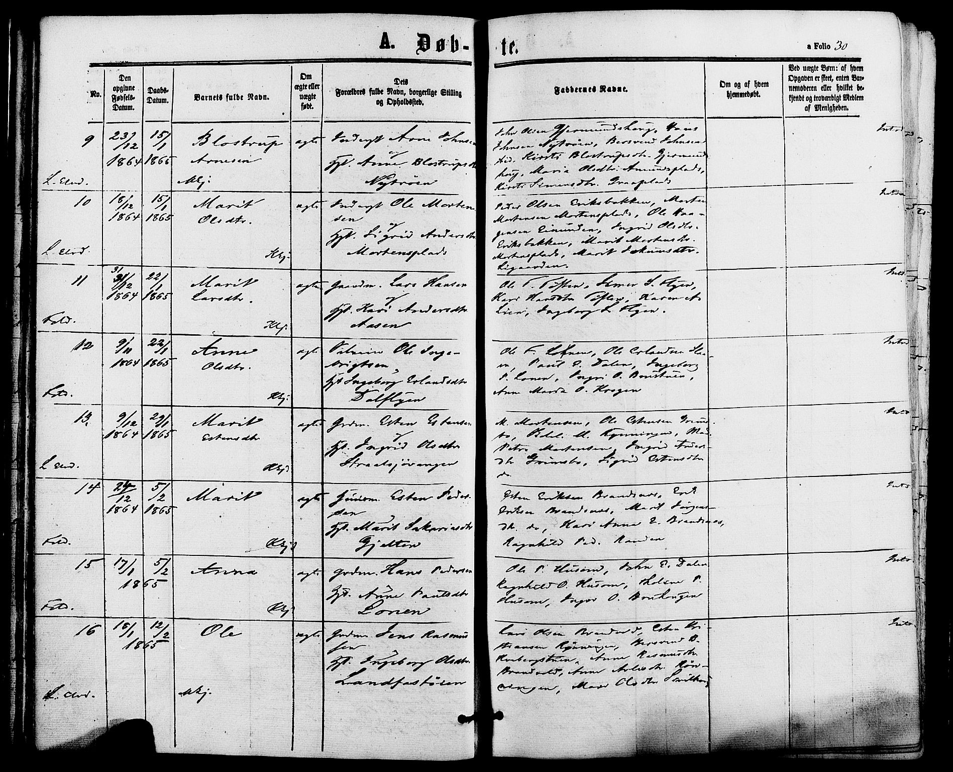 Alvdal prestekontor, AV/SAH-PREST-060/H/Ha/Haa/L0001: Parish register (official) no. 1, 1863-1882, p. 30