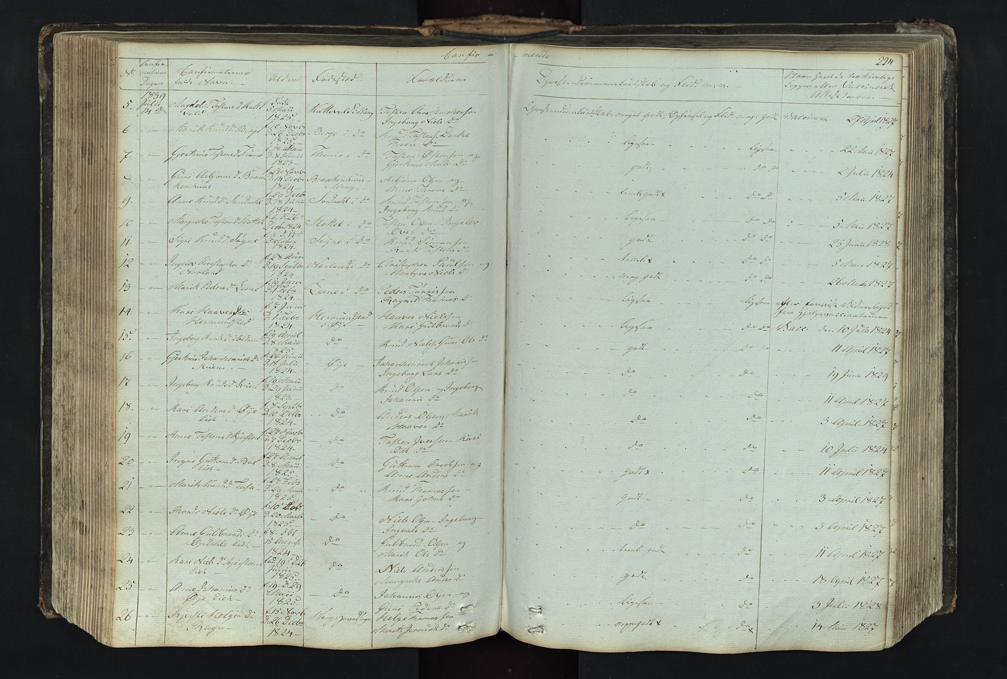 Vang prestekontor, Valdres, SAH/PREST-140/H/Hb/L0004: Parish register (copy) no. 4, 1835-1892, p. 224