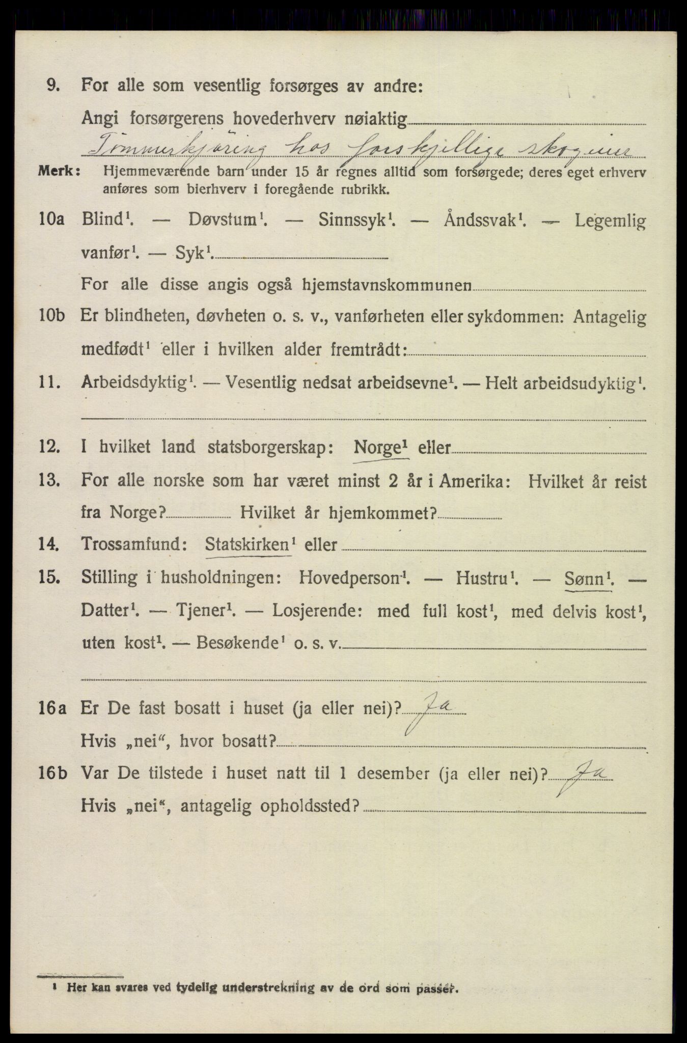 SAH, 1920 census for Trysil, 1920, p. 14844