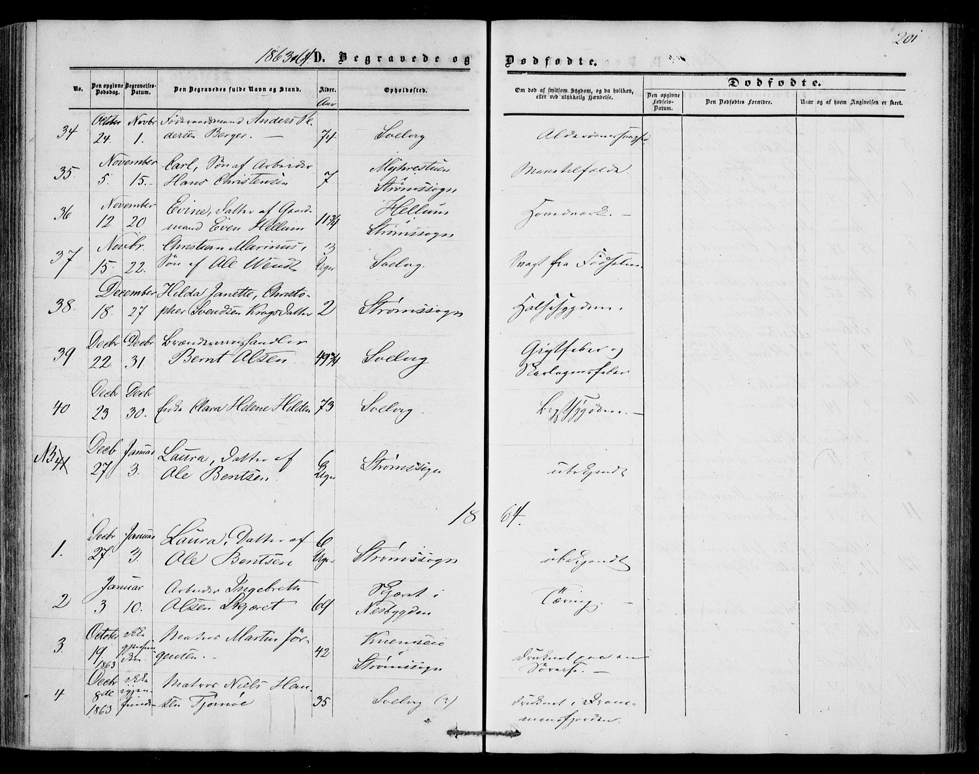 Strømm kirkebøker, AV/SAKO-A-322/F/Fa/L0001: Parish register (official) no. I 1, 1861-1869, p. 201