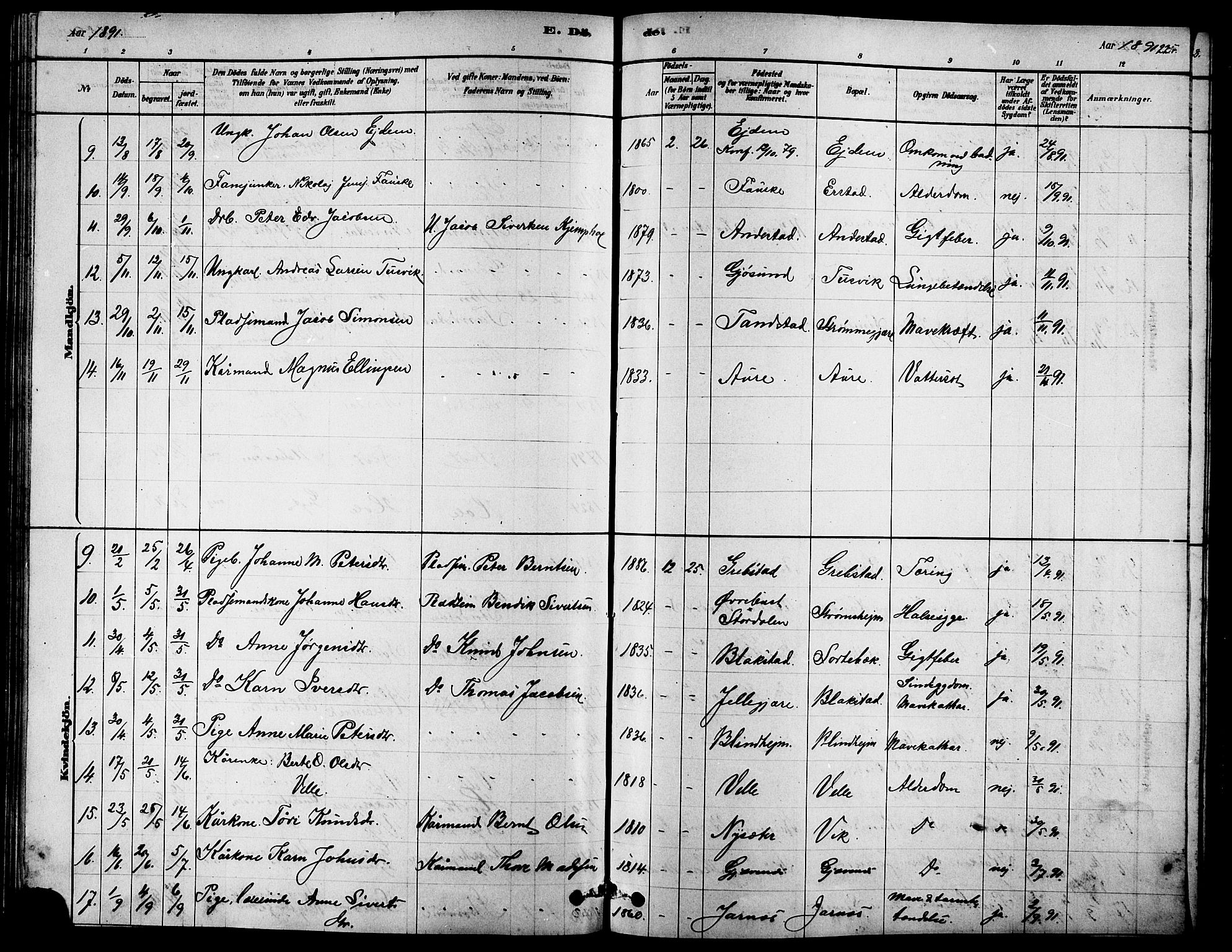 Ministerialprotokoller, klokkerbøker og fødselsregistre - Møre og Romsdal, SAT/A-1454/523/L0339: Parish register (copy) no. 523C02, 1878-1891, p. 225