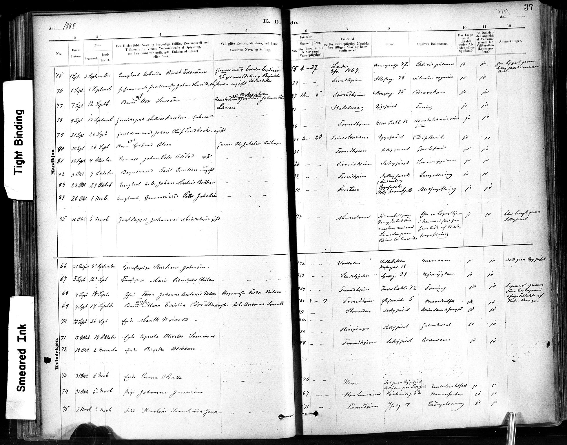 Ministerialprotokoller, klokkerbøker og fødselsregistre - Sør-Trøndelag, SAT/A-1456/602/L0120: Parish register (official) no. 602A18, 1880-1913, p. 37