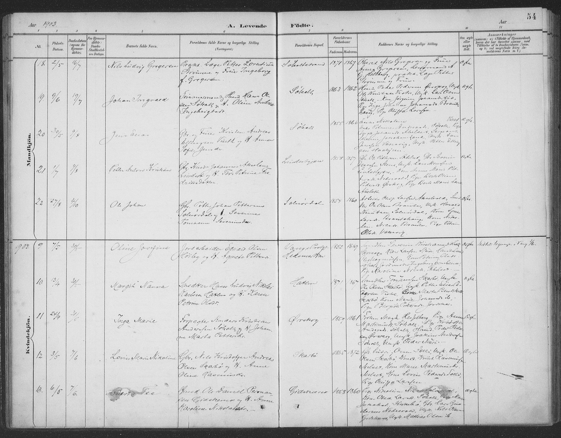 Ministerialprotokoller, klokkerbøker og fødselsregistre - Møre og Romsdal, AV/SAT-A-1454/522/L0316: Parish register (official) no. 522A11, 1890-1911, p. 54