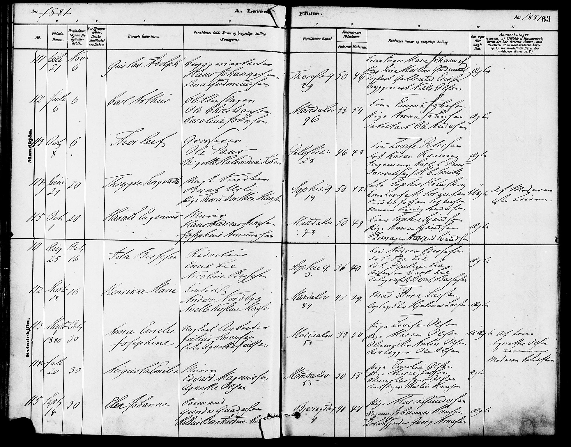 Gamle Aker prestekontor Kirkebøker, SAO/A-10617a/F/L0006: Parish register (official) no. 6, 1880-1887, p. 63